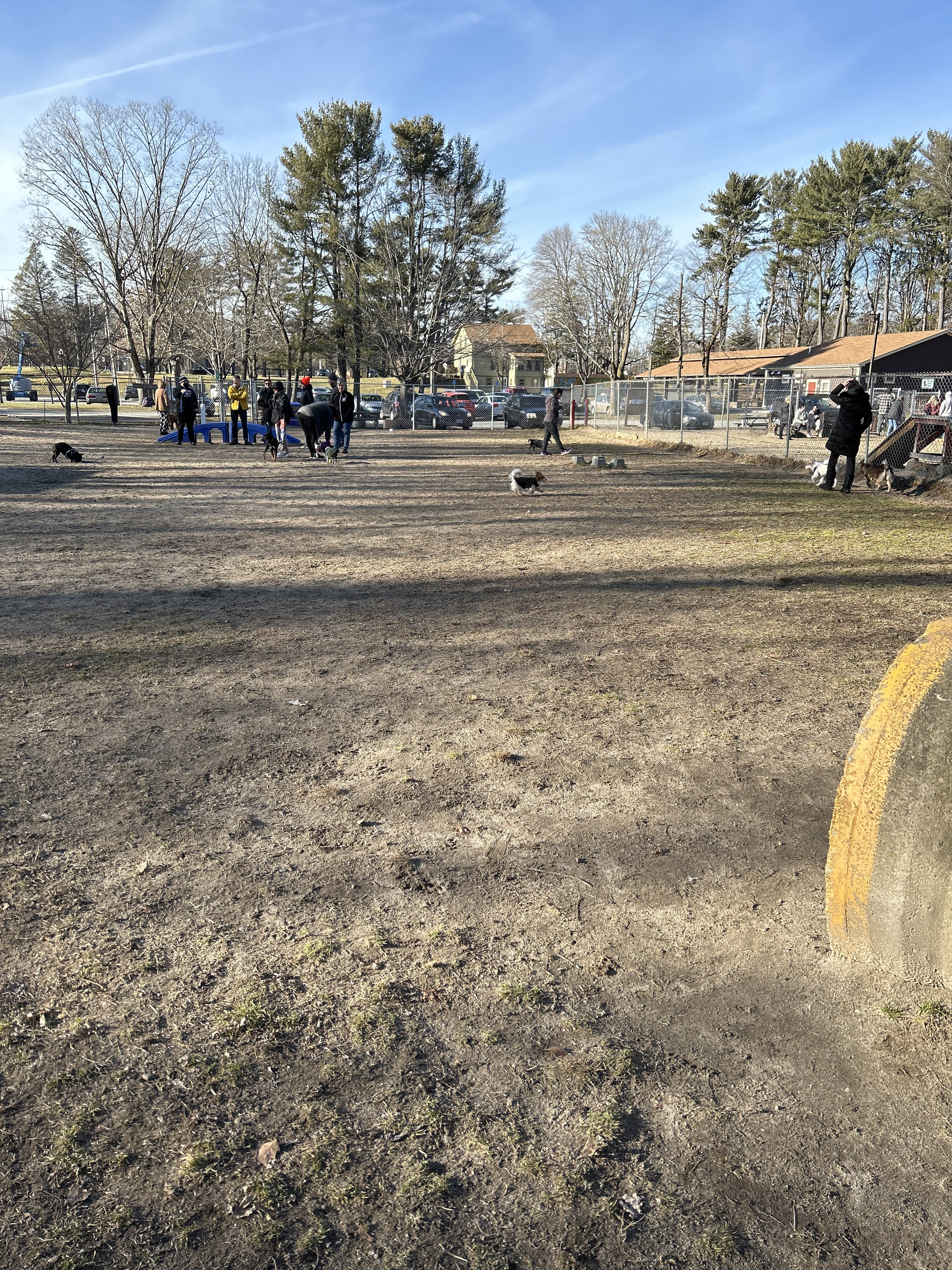 Pawtucket Dog Park (at Slater Park)