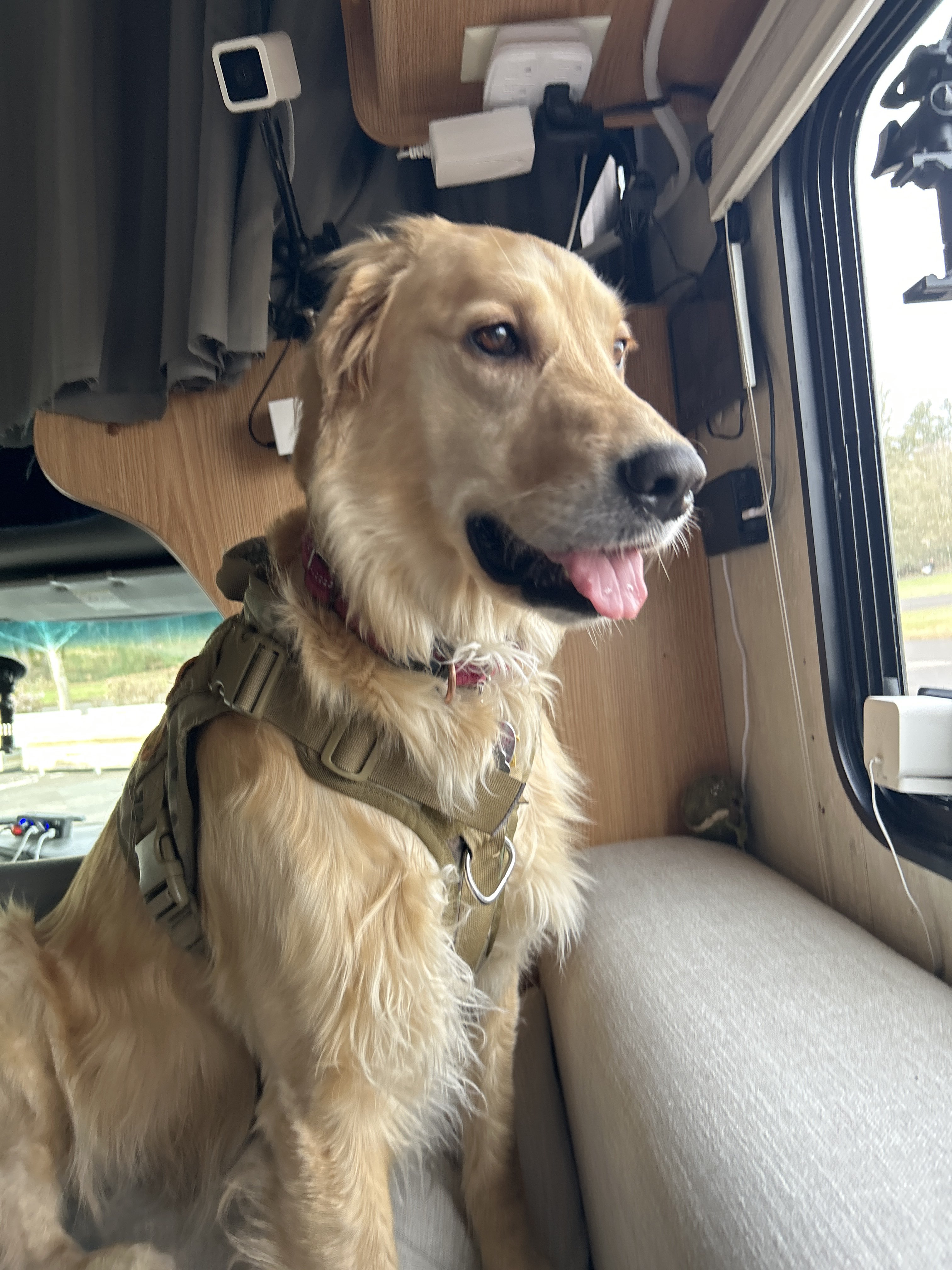 Keizer Rapids Dog Park