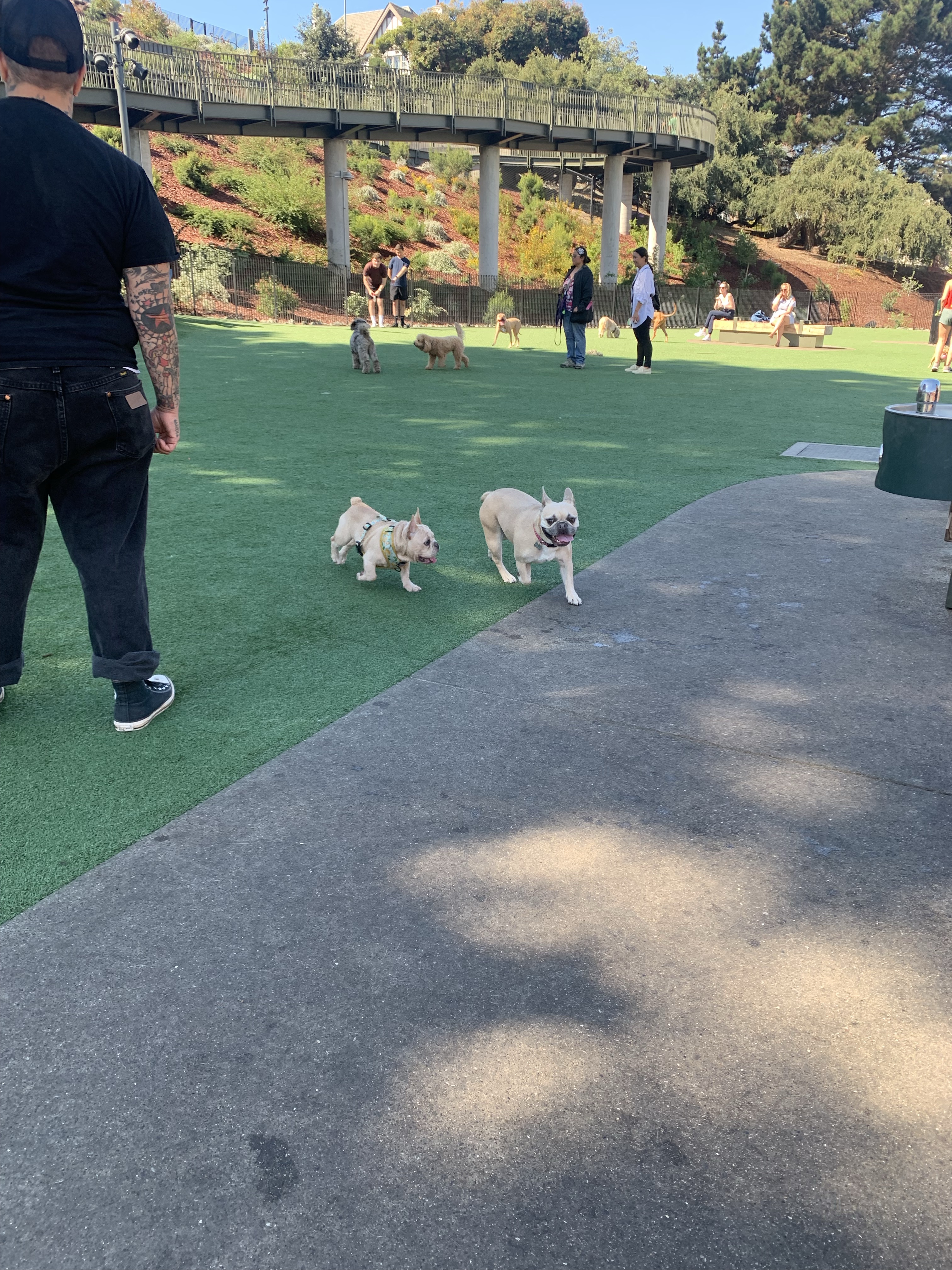 Francisco Park “Pepi’s Dog Park”