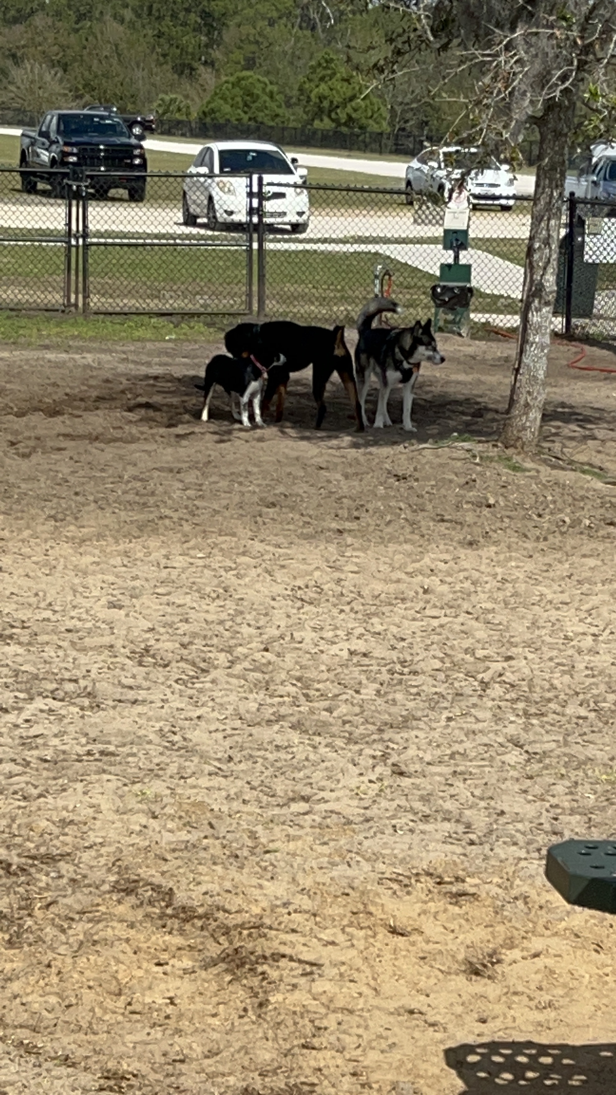 Northeast Regional Park