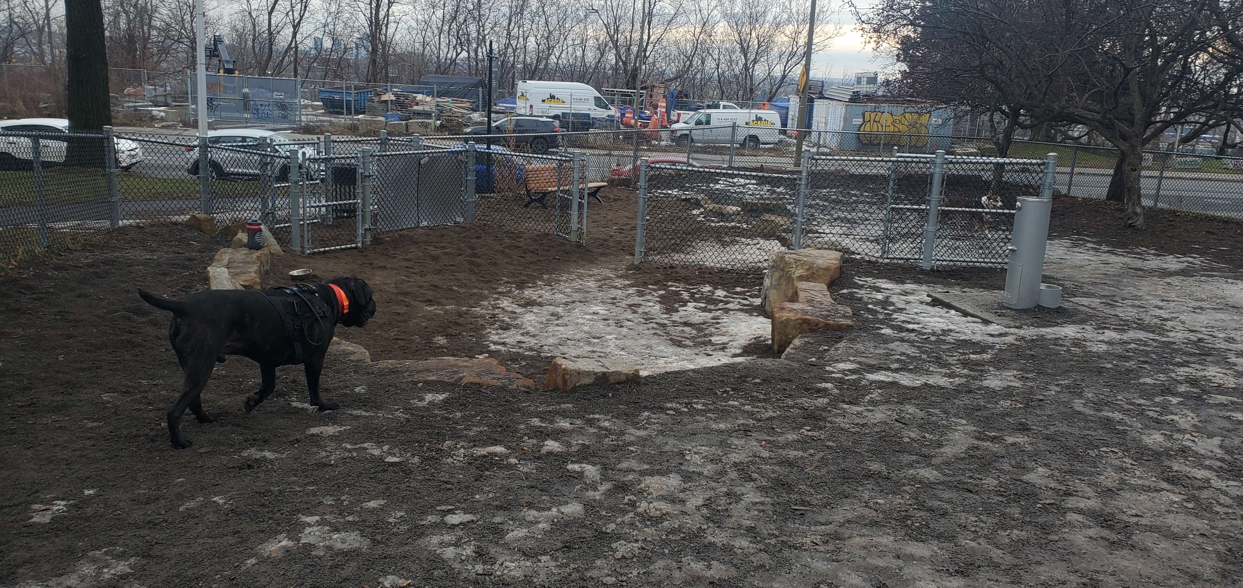 Park George Saint Pierre