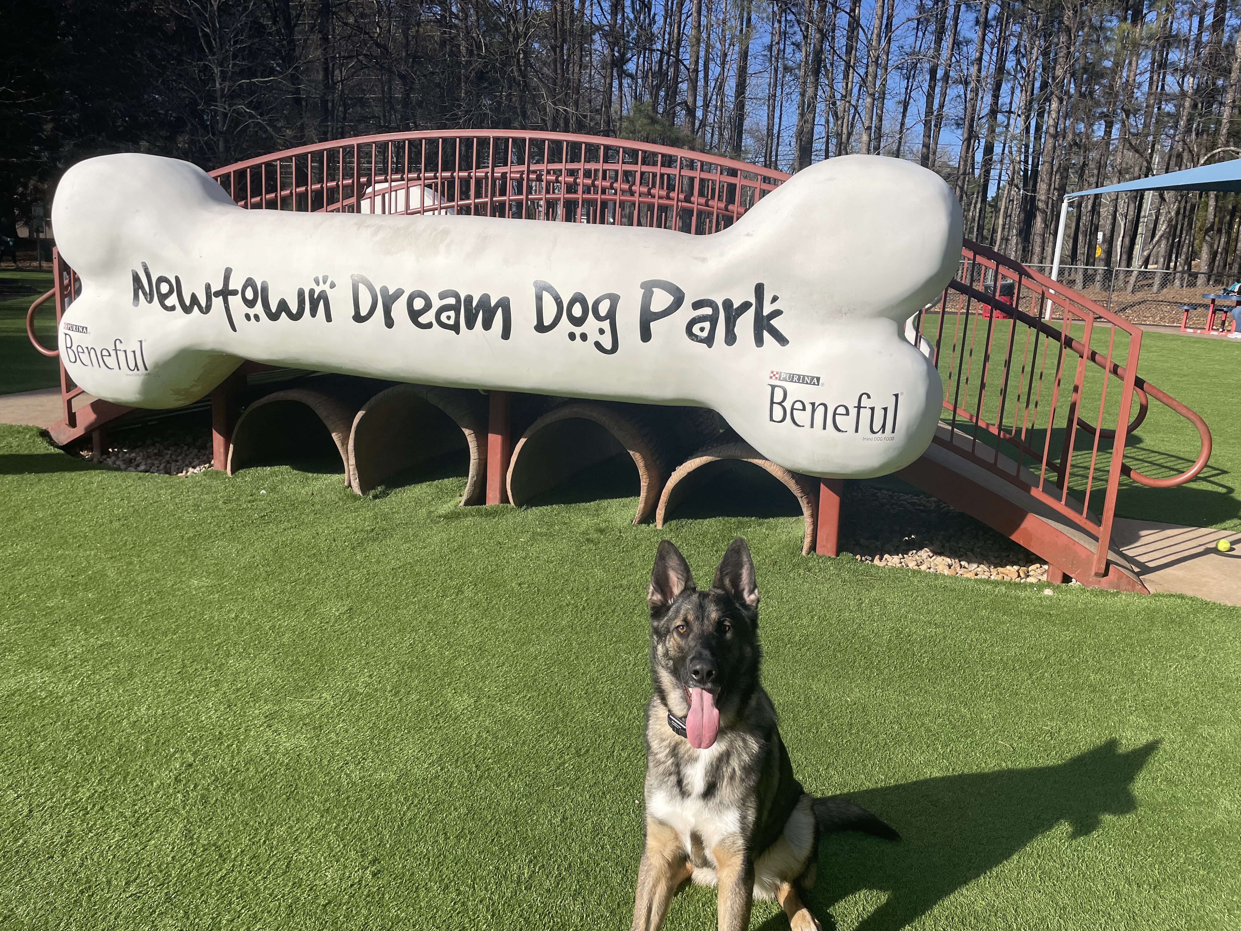 Newtown Dream Dog Park