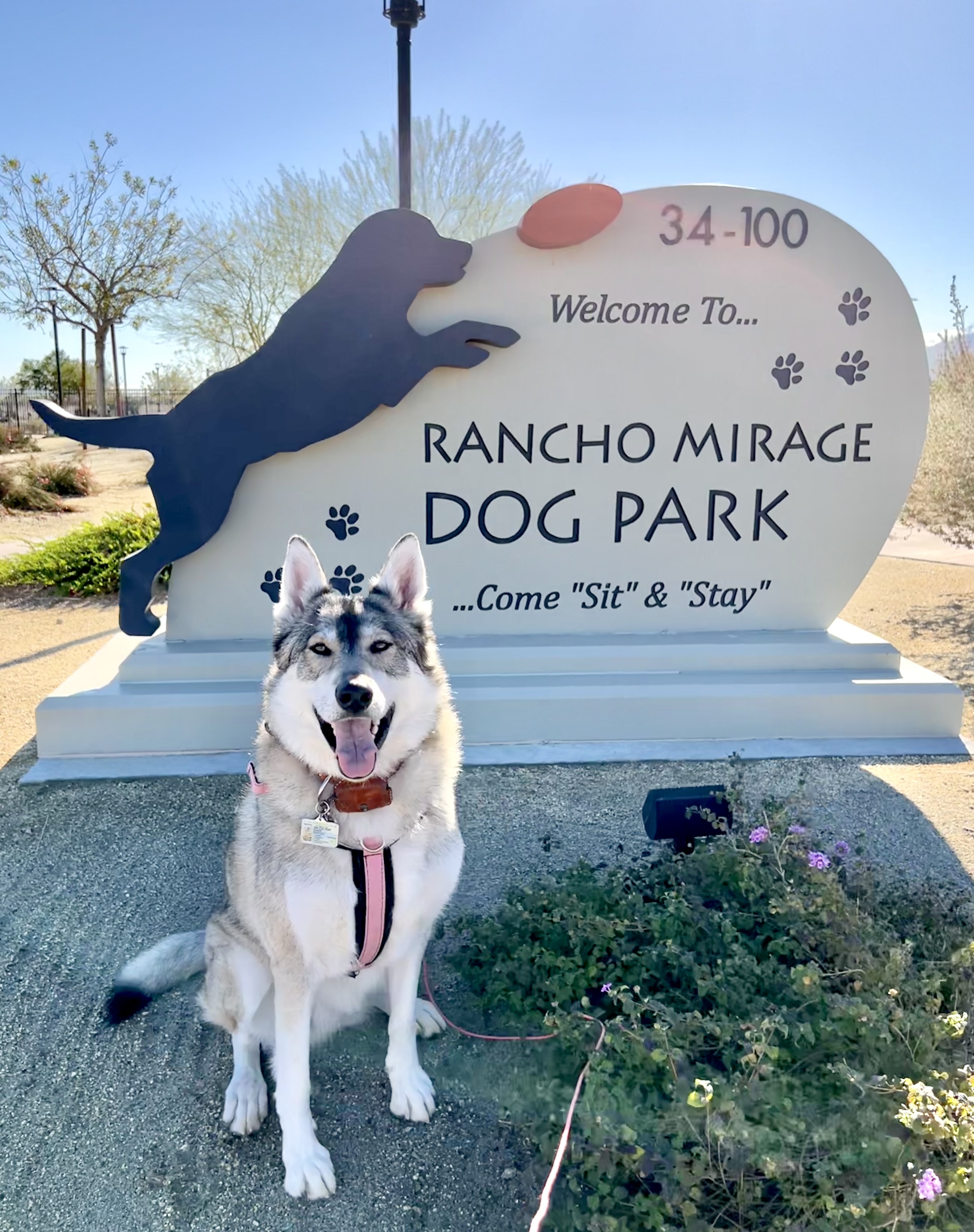 Rancho Mirage Dog Park