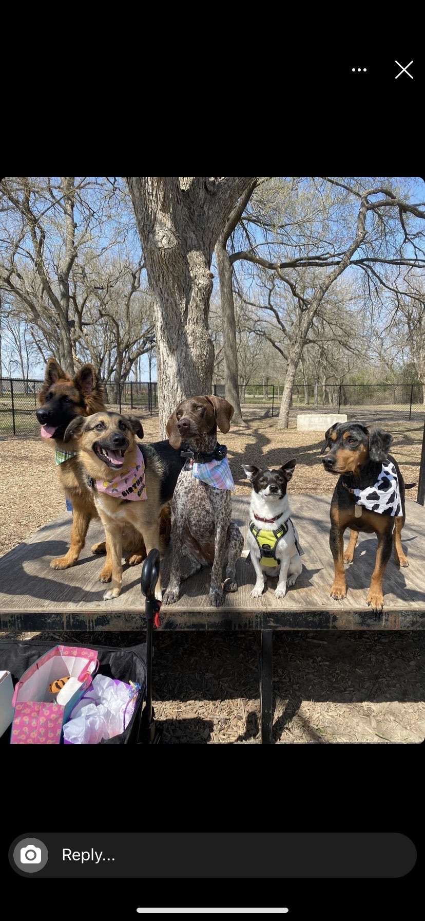 Heritage Park Dog Run
