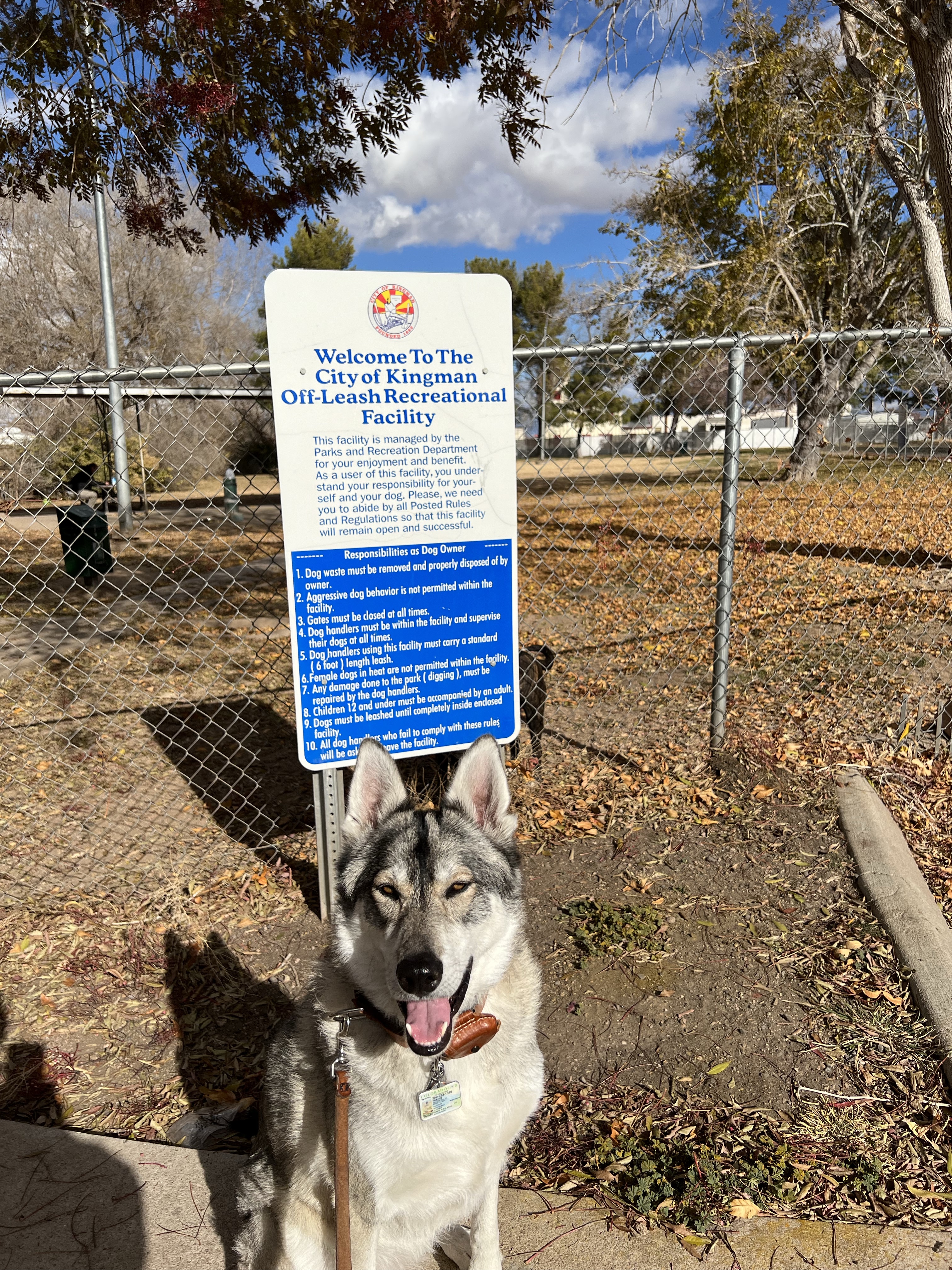 Kingman Dog Park