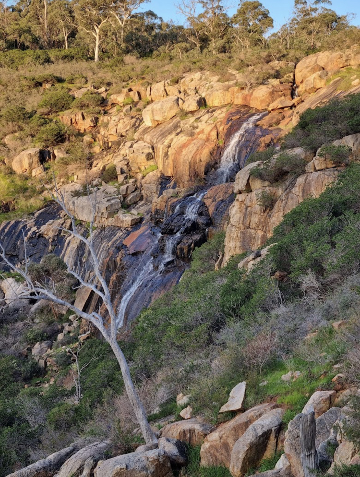 Ellis Brook Valley Reserve