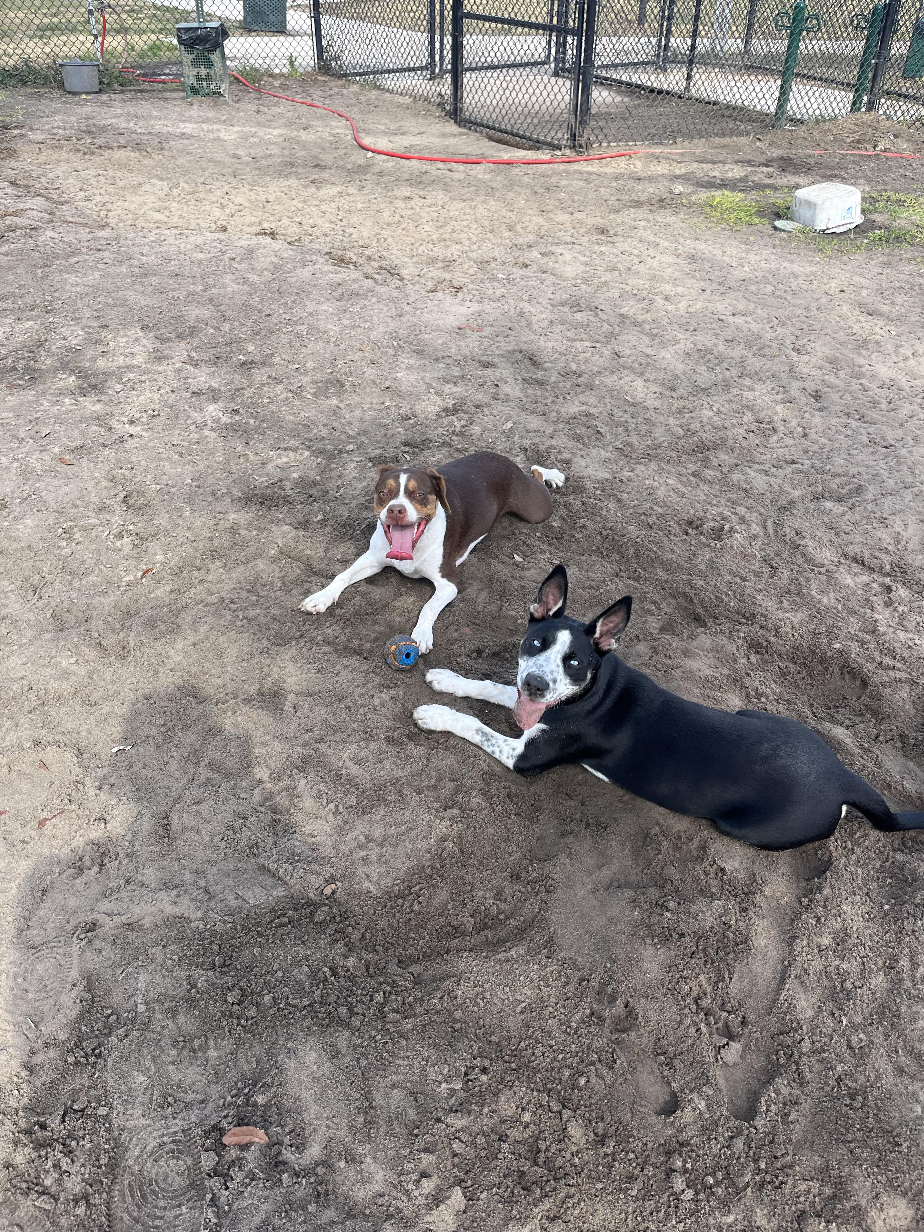 Northeast Regional Park