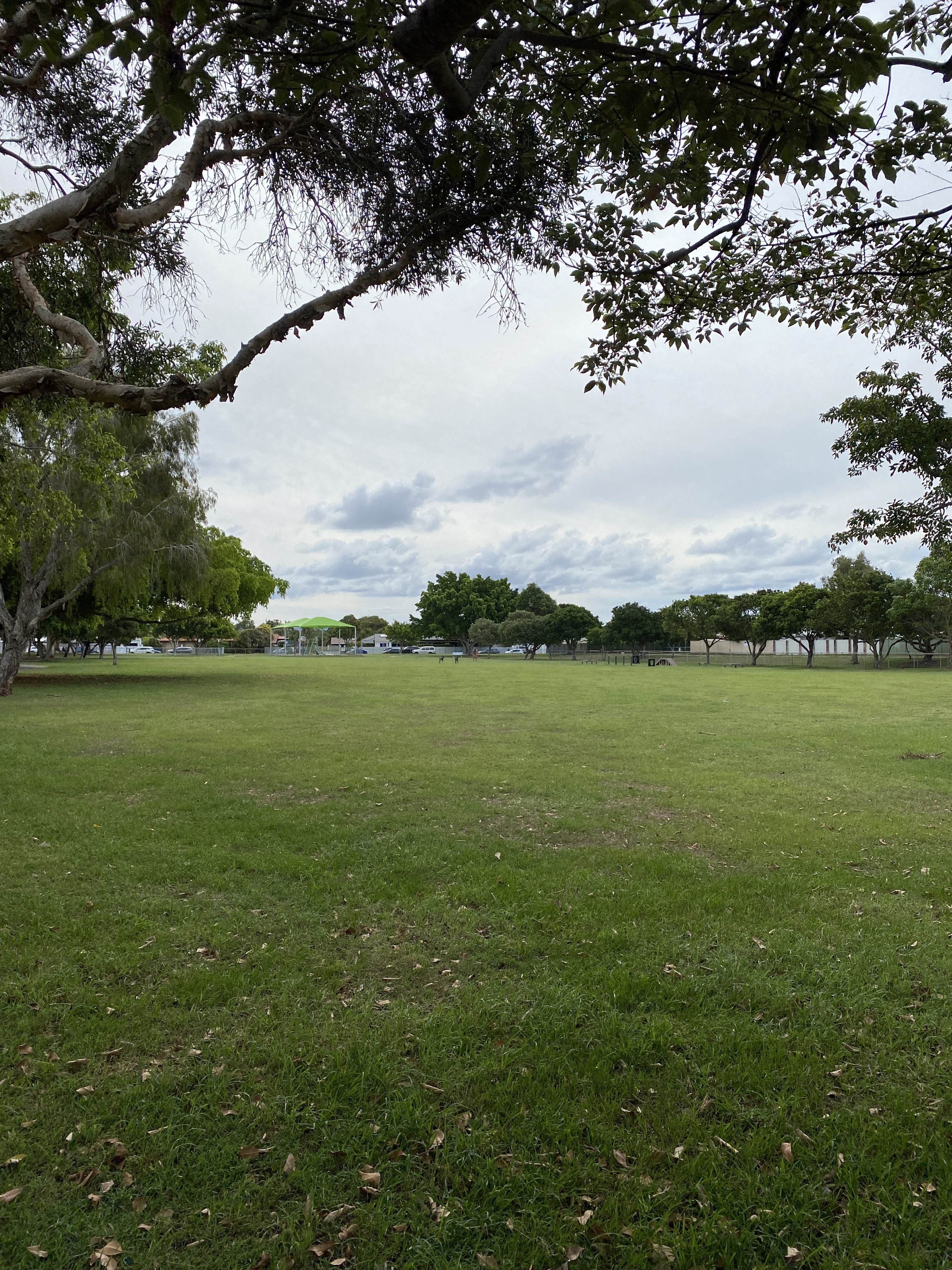 Bayview Fenced Agility Dog Park