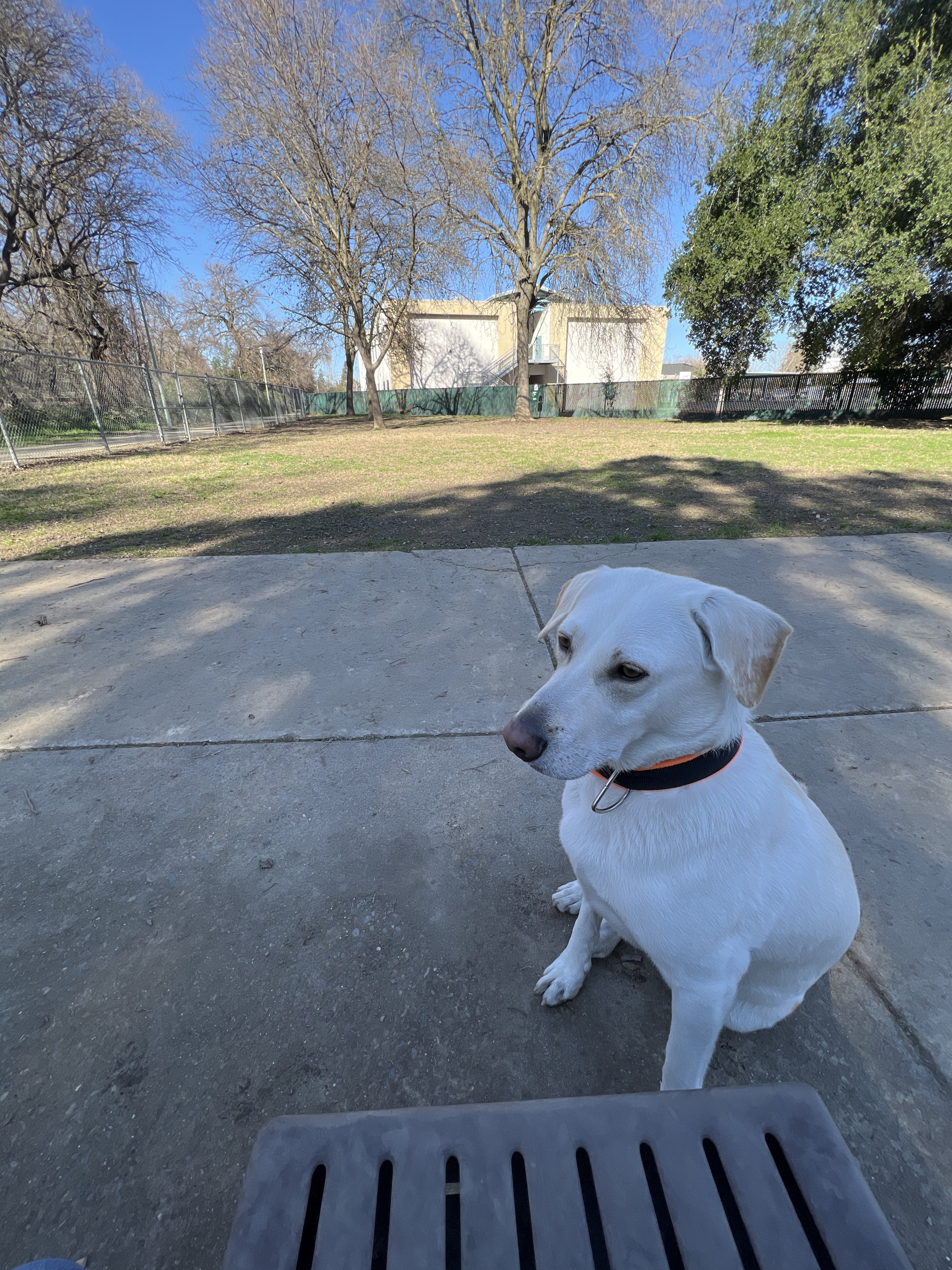 Bannon Creek Dog Park