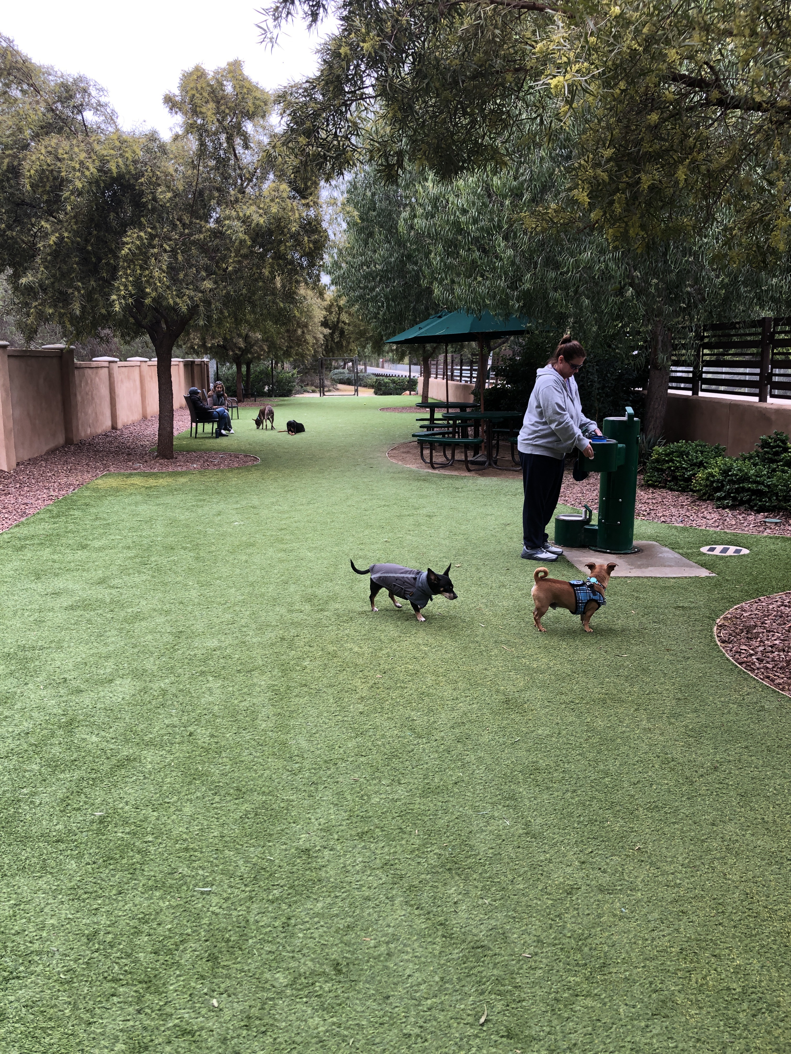 Laguna Woods Dog Park