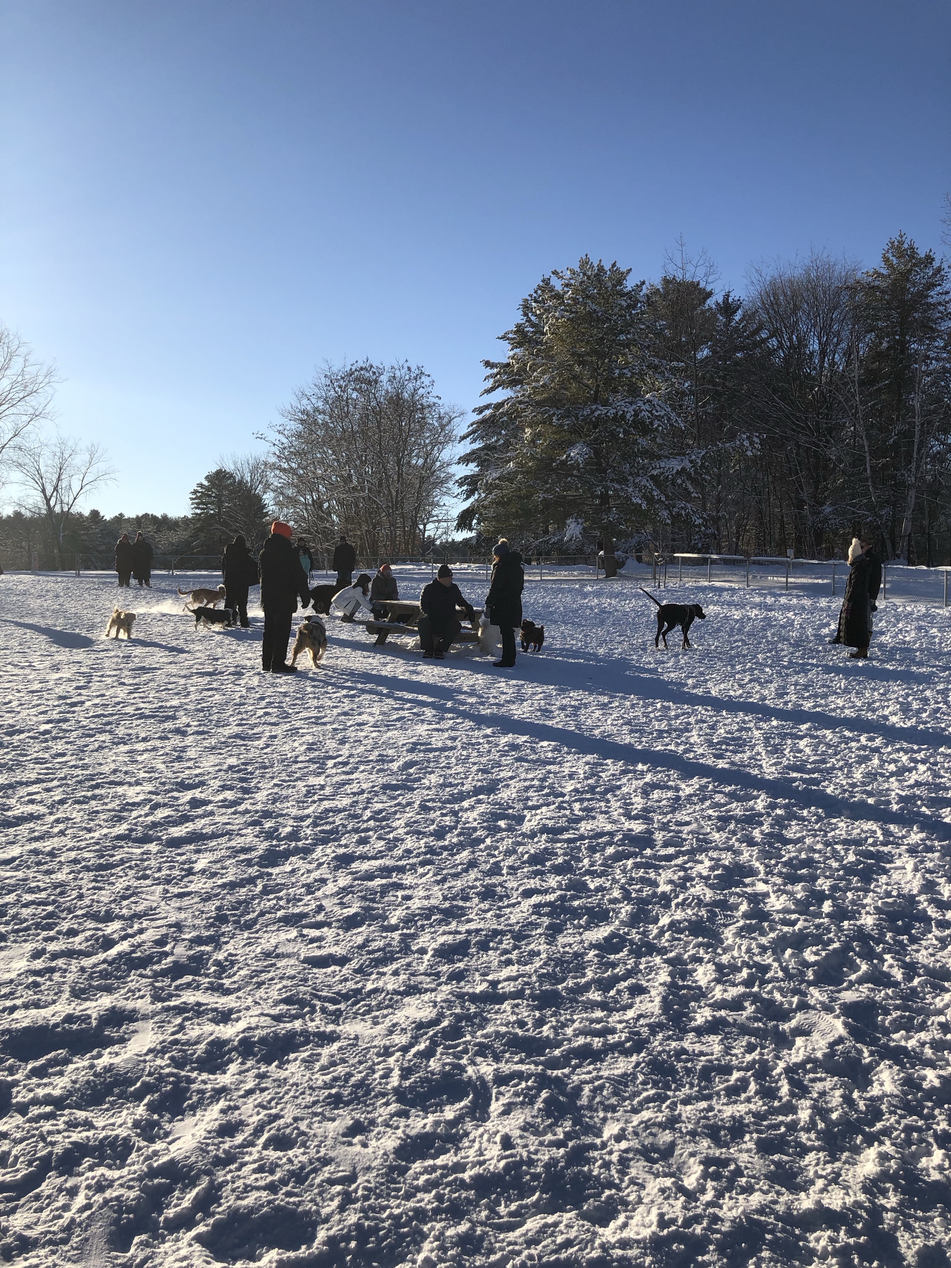 Parc-Nature Harwood Dog Park