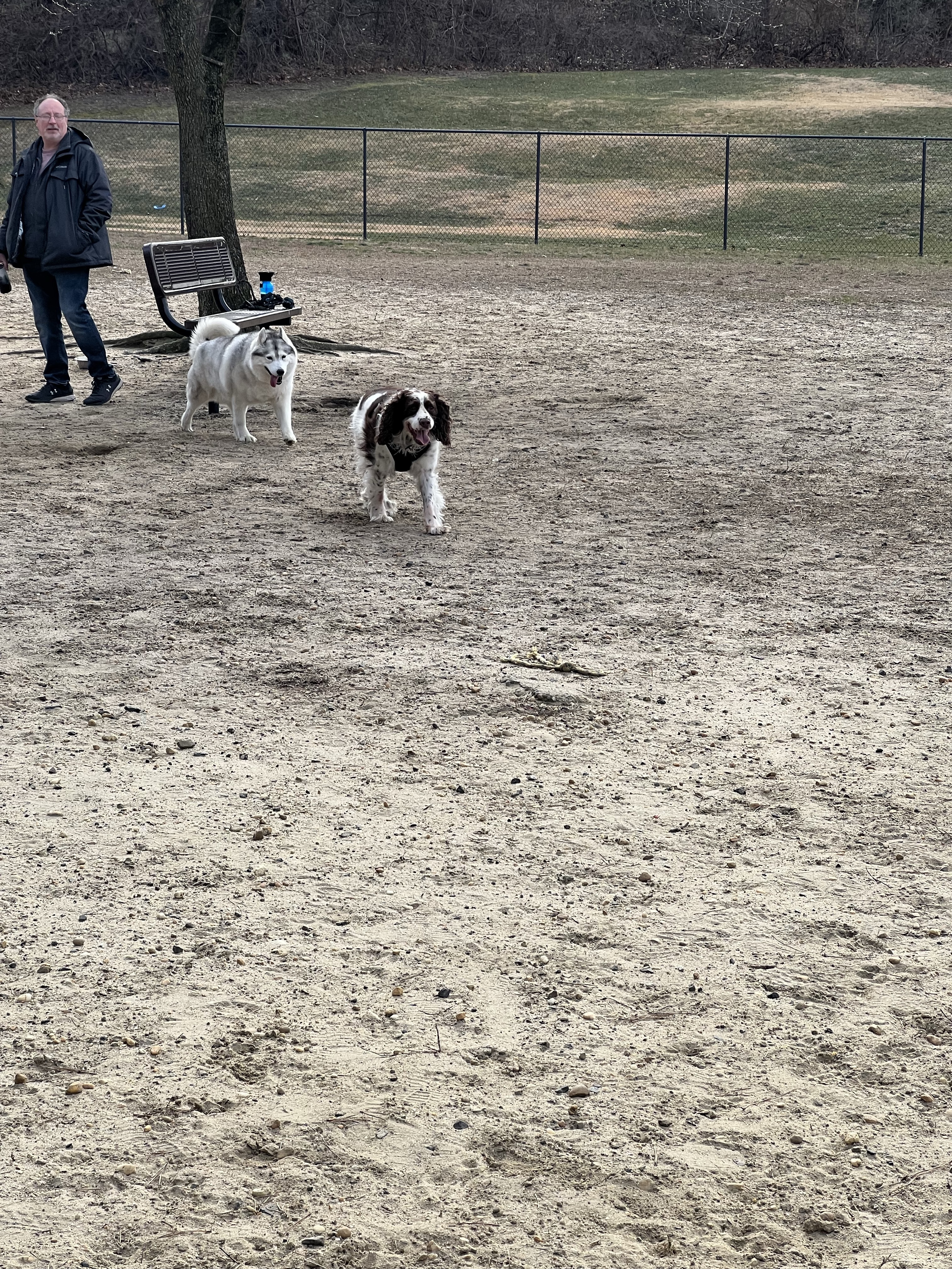 Connolly Dog Park