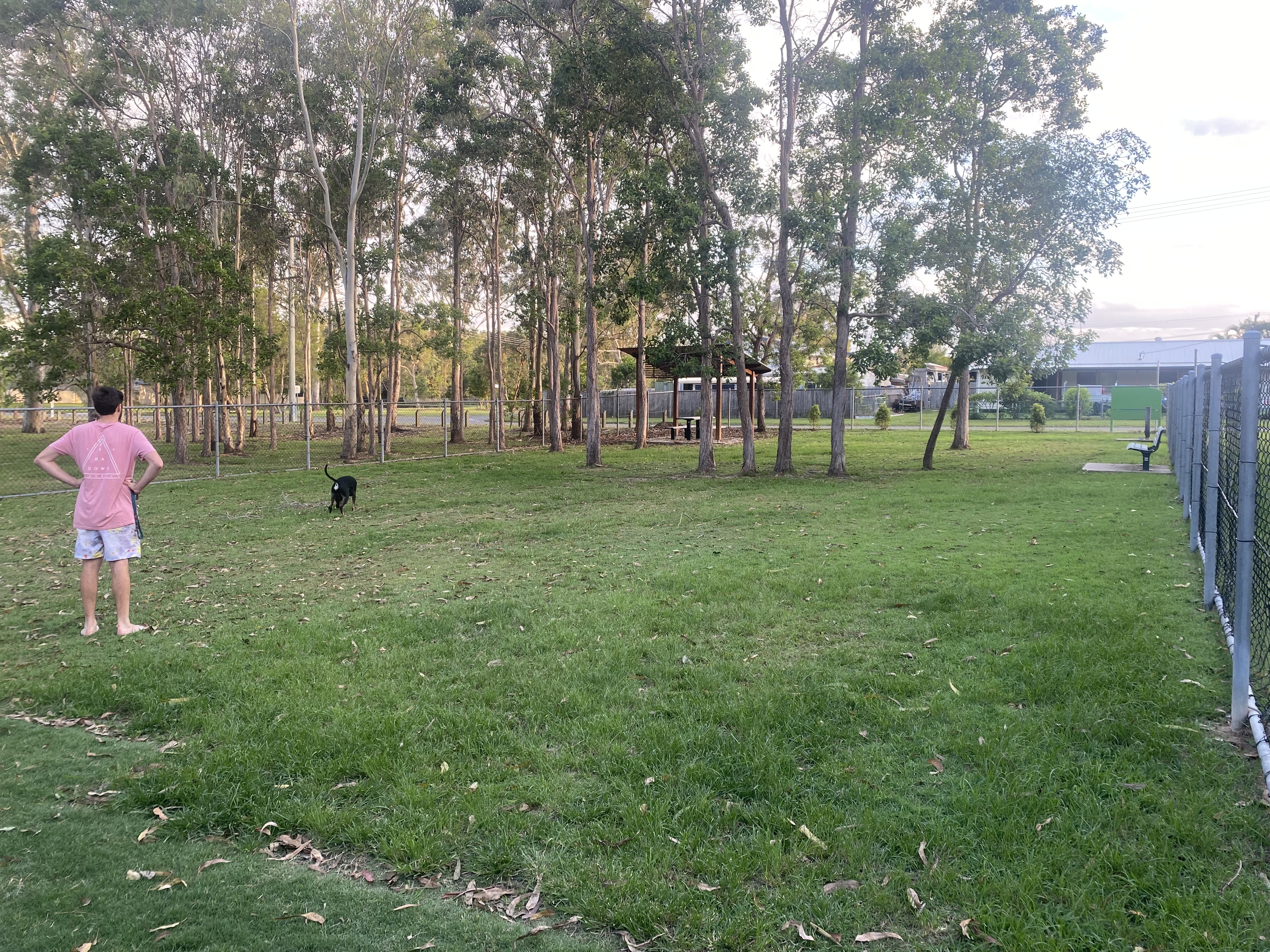 Burpengary Dog Park