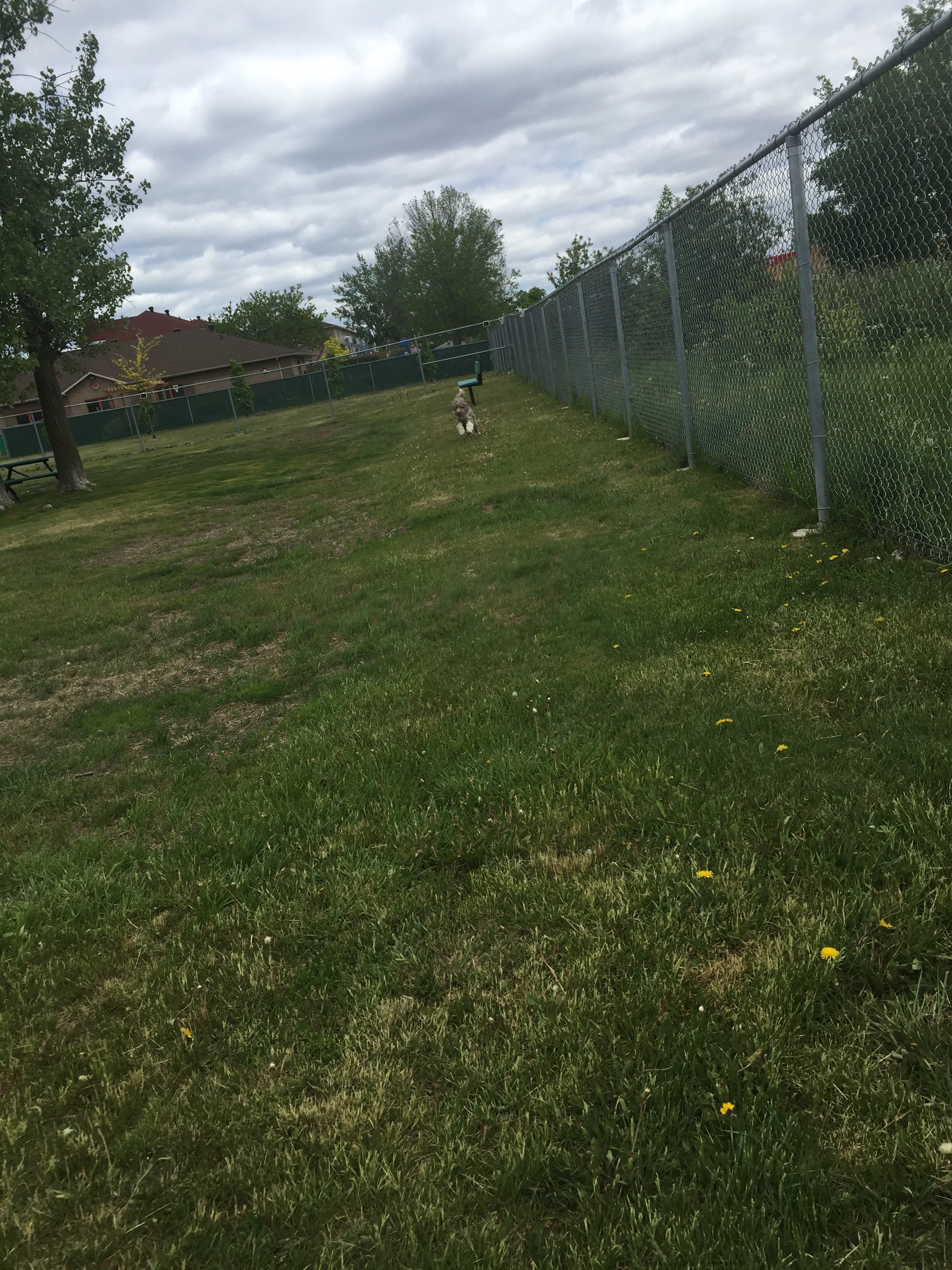 Parc canin de Verchères