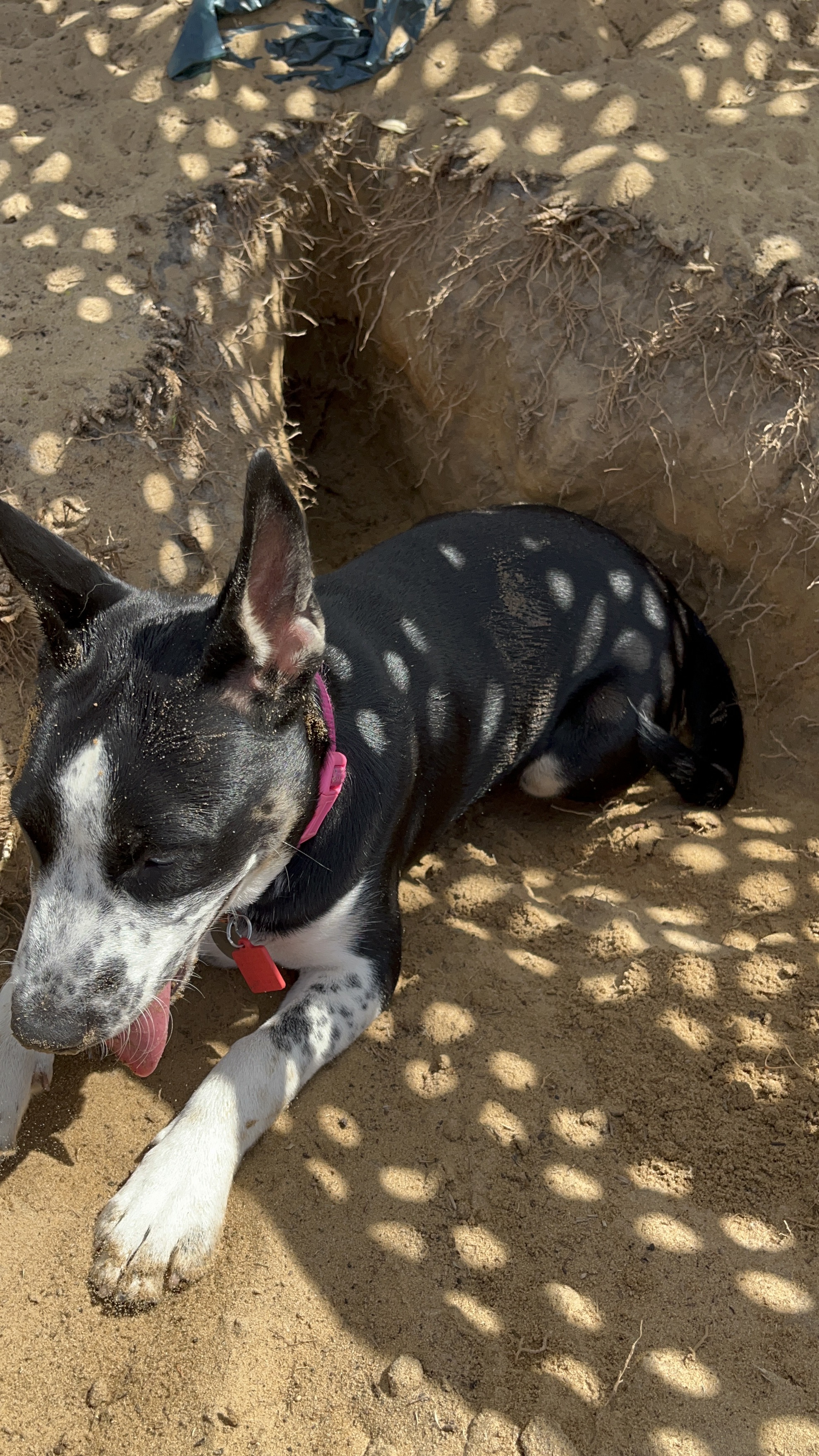 Northeast Regional Park