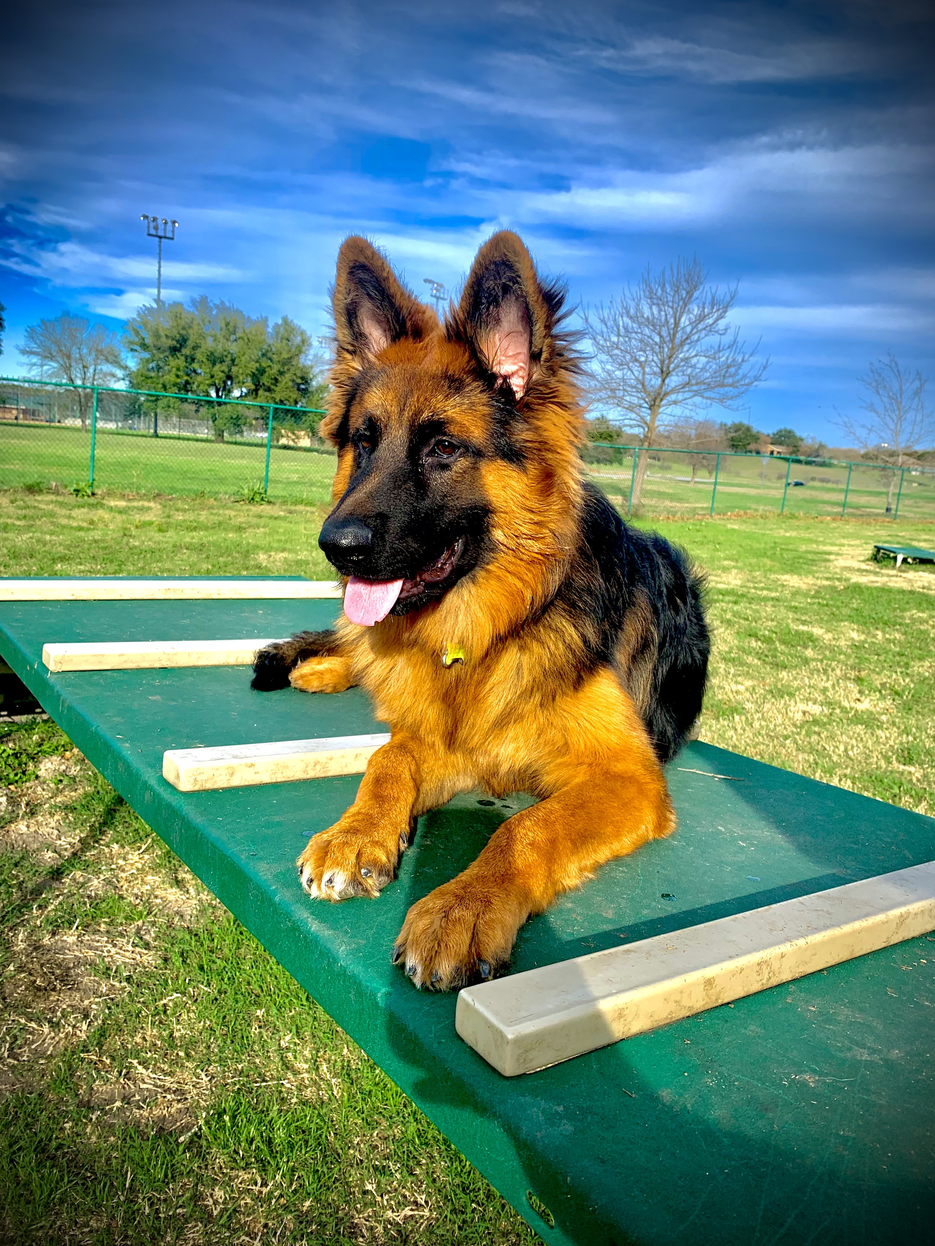 Central Texas Bark Park