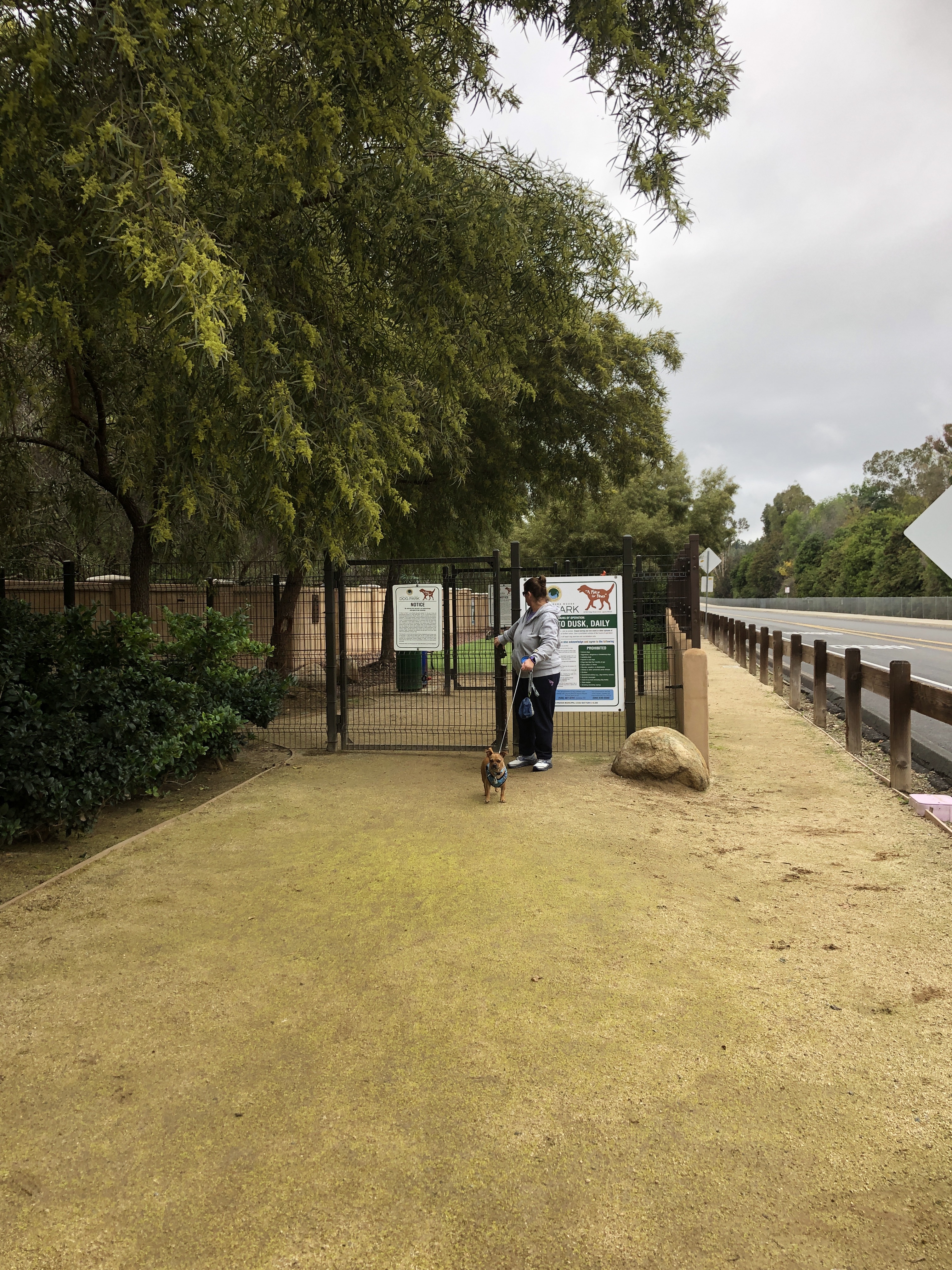 Laguna Woods Dog Park