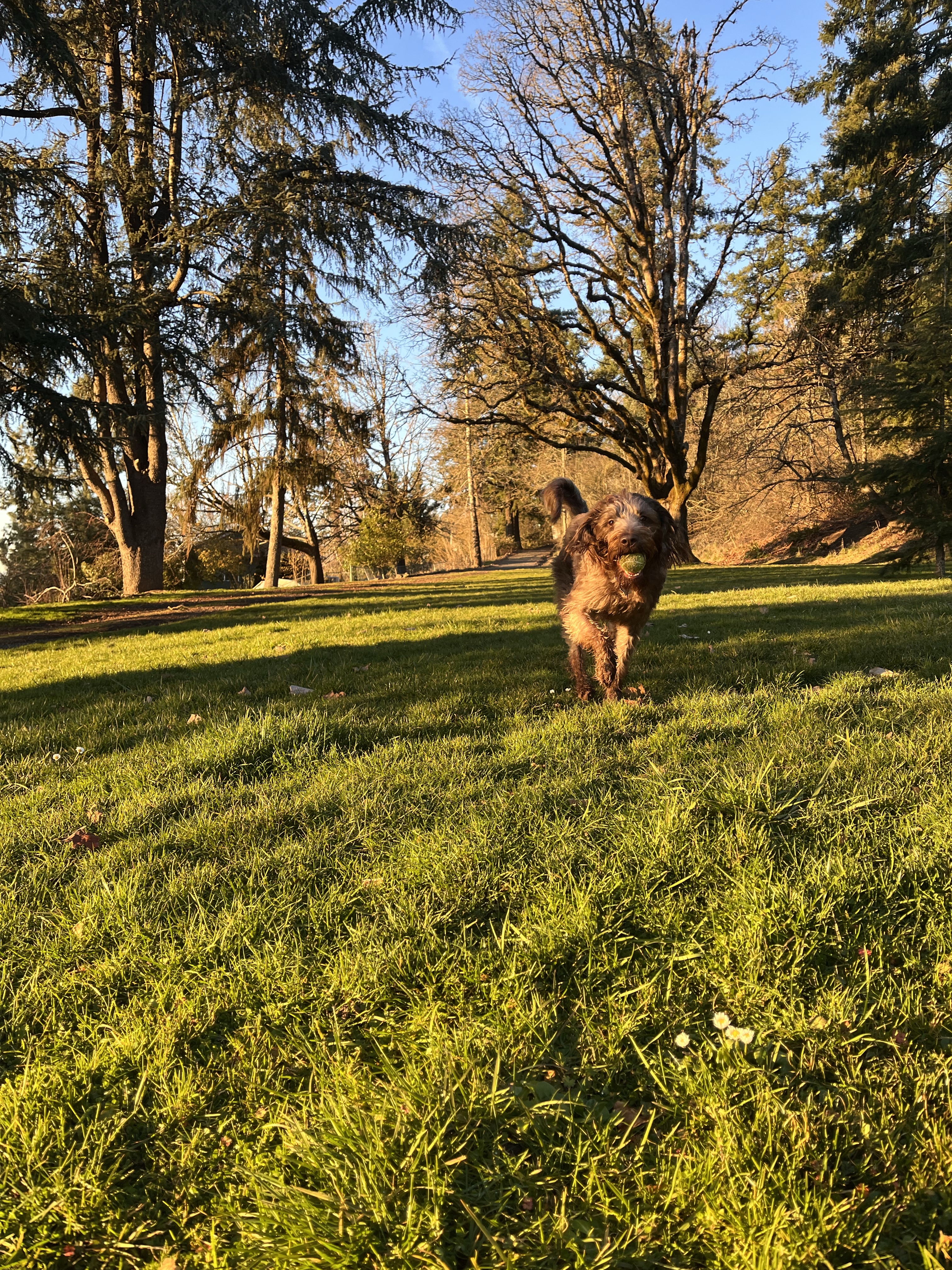 Oregon City Park Place