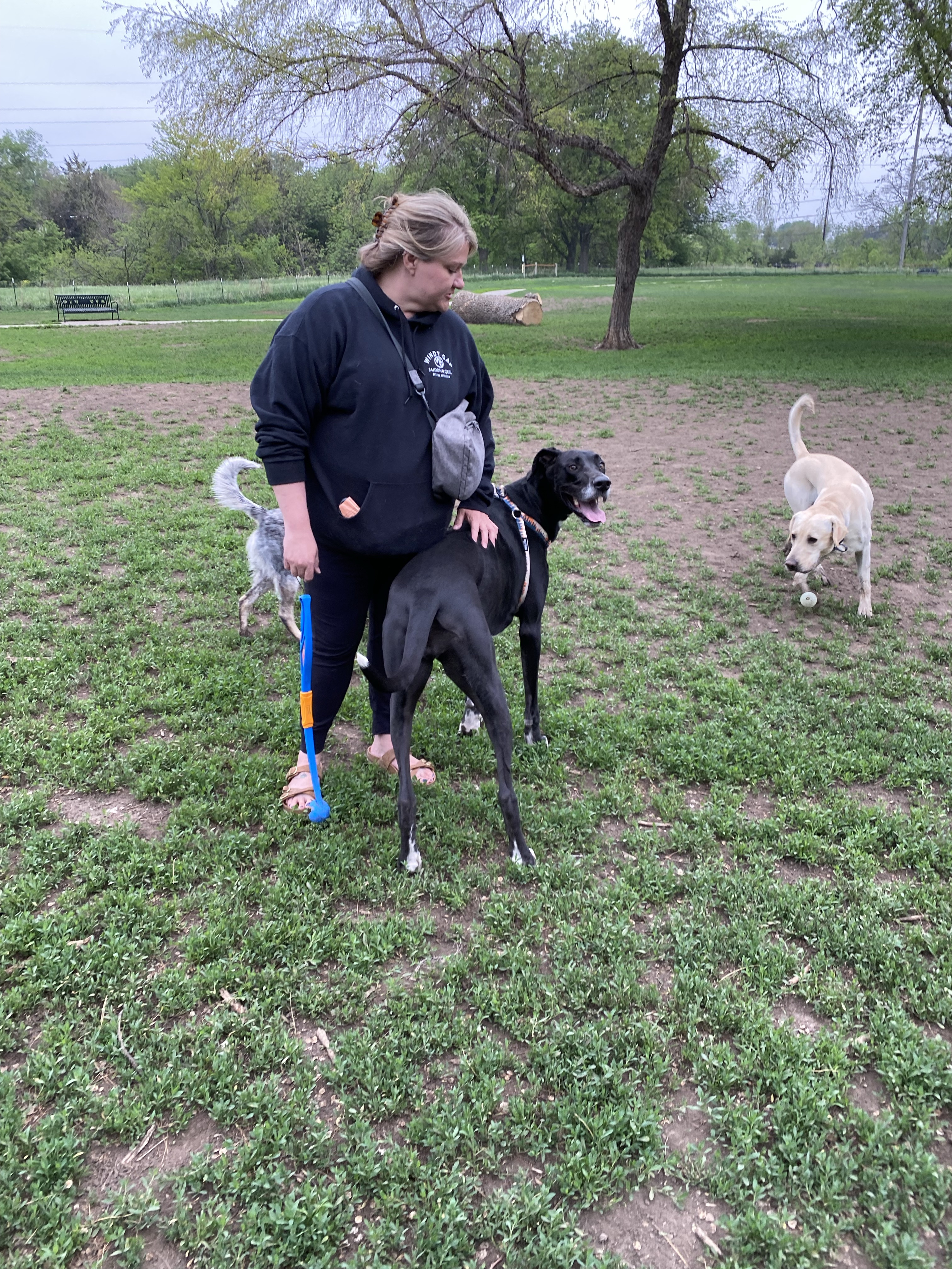 Stransky Dog Run at Peterson Park