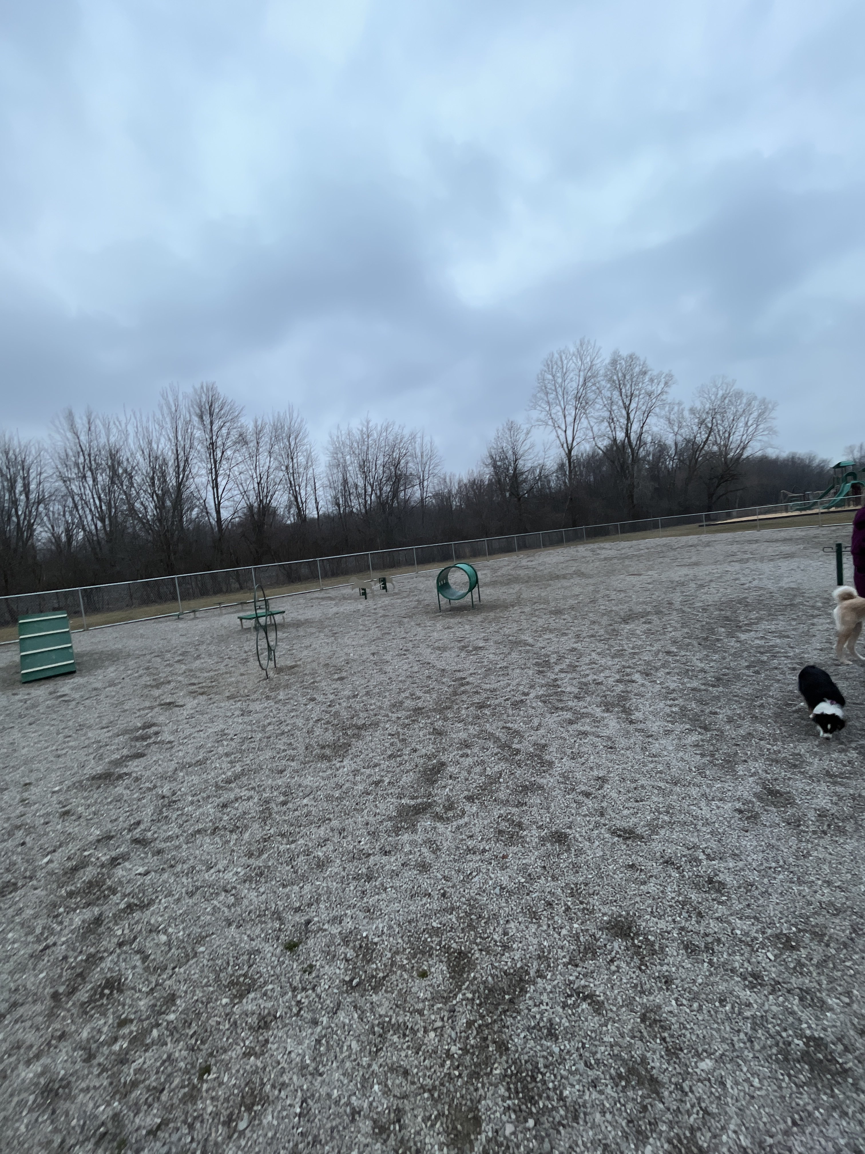 Sheffield Lake Dog Park