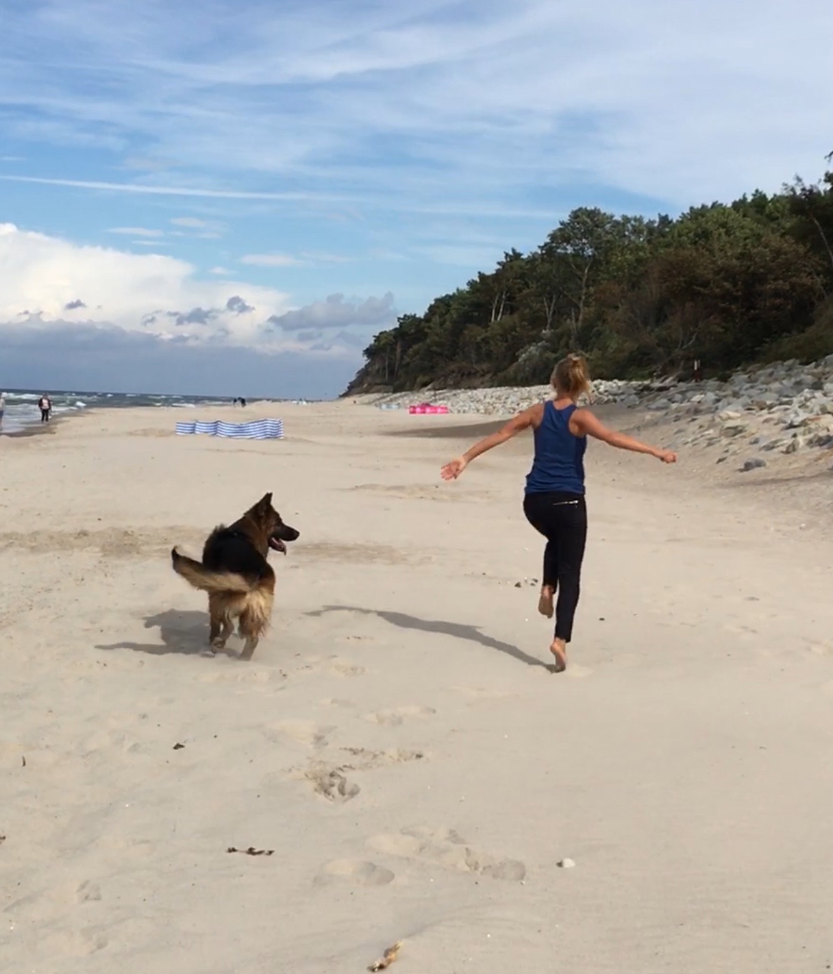 Plaża dla psów-off leash