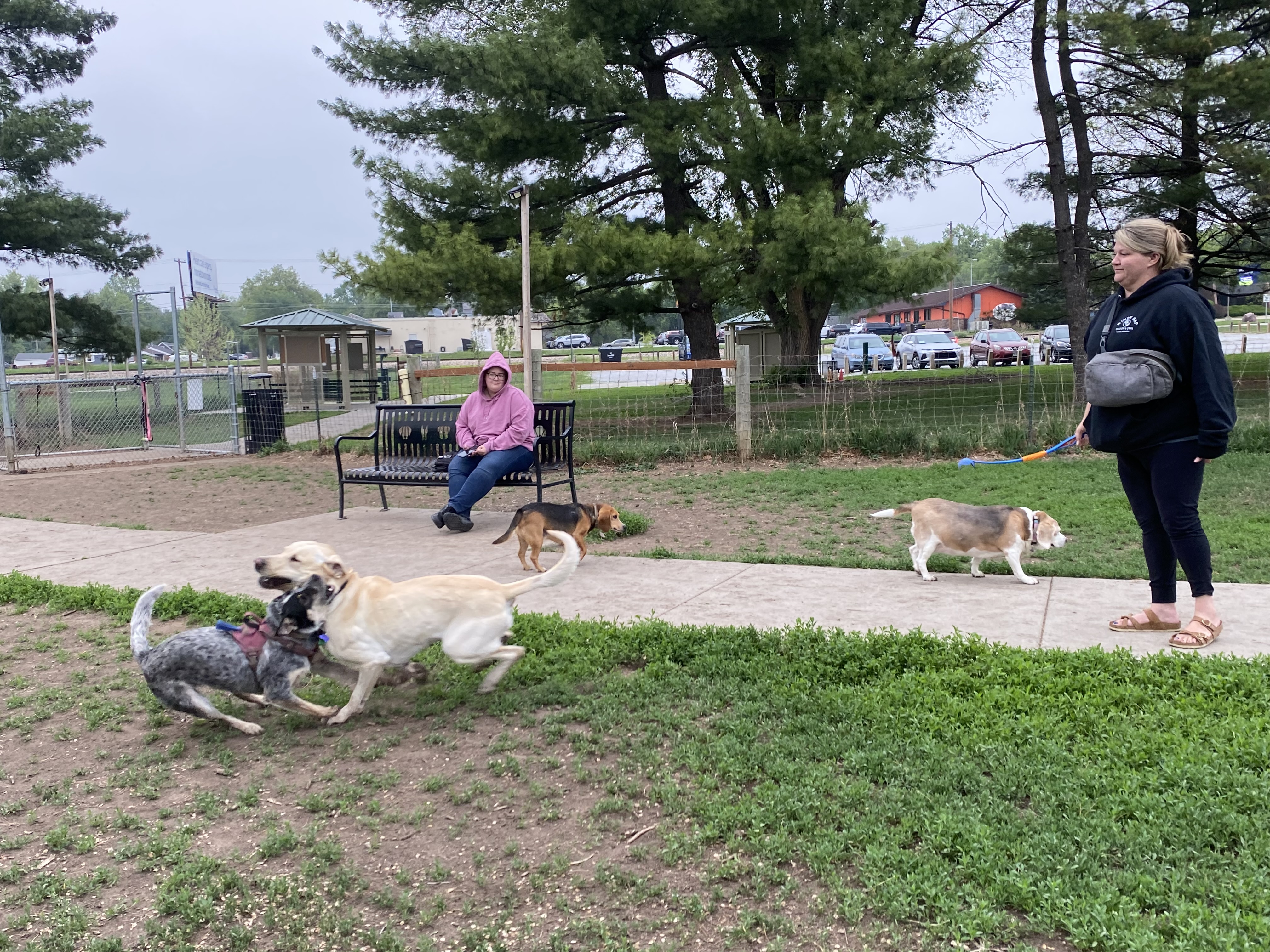 Stransky Dog Run at Peterson Park