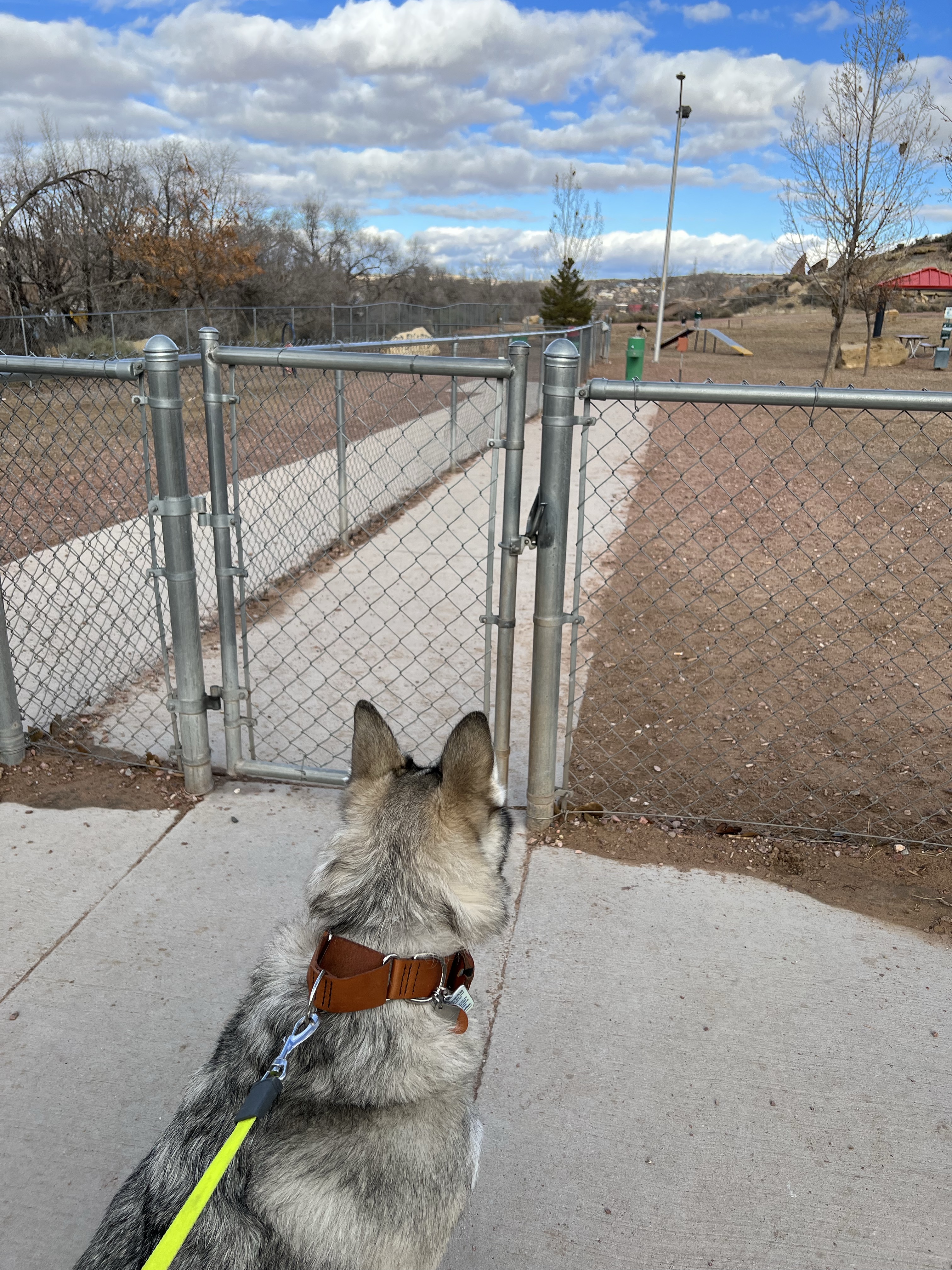 City of Gallup Dog Park