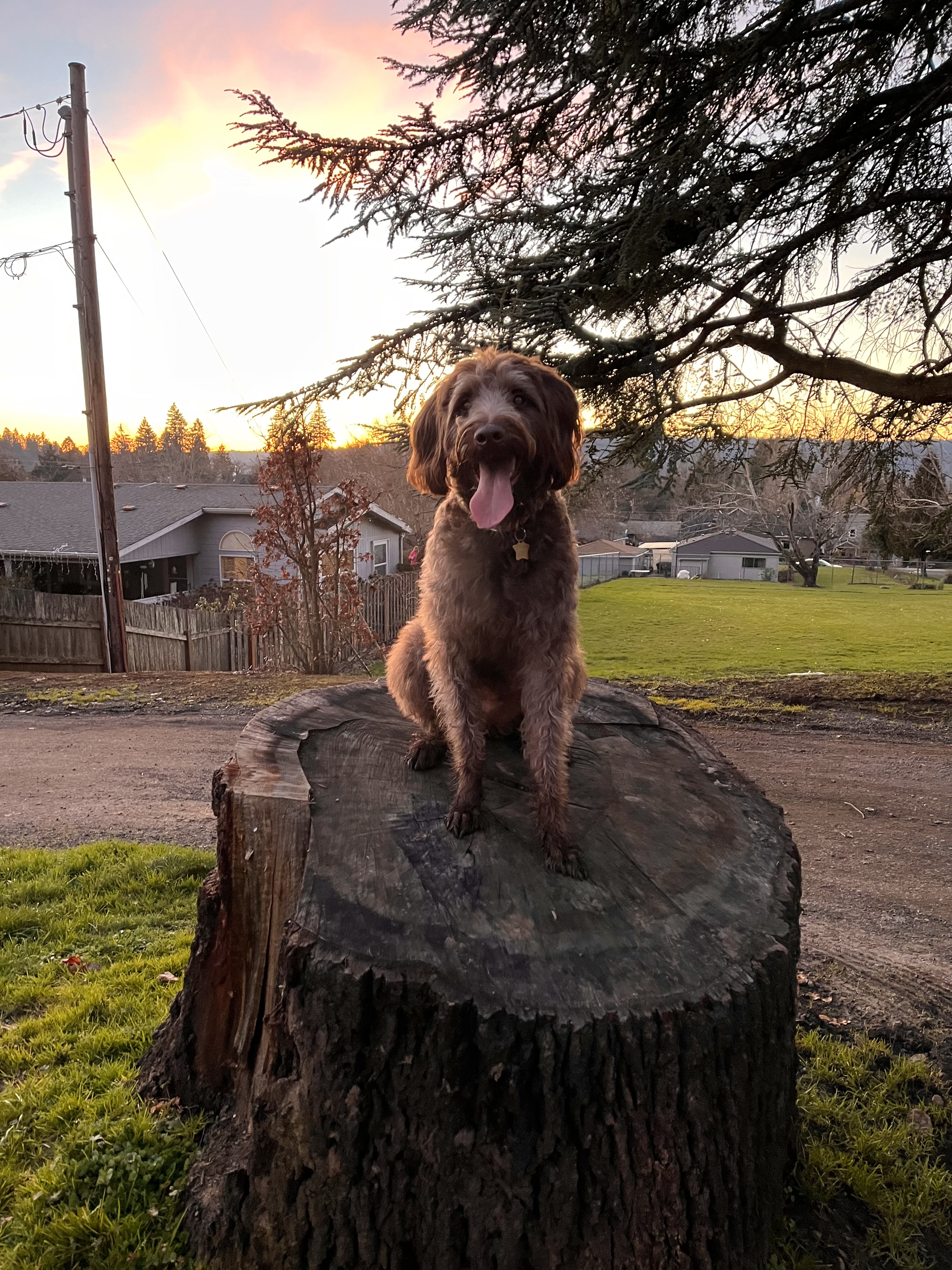 Oregon City Park Place