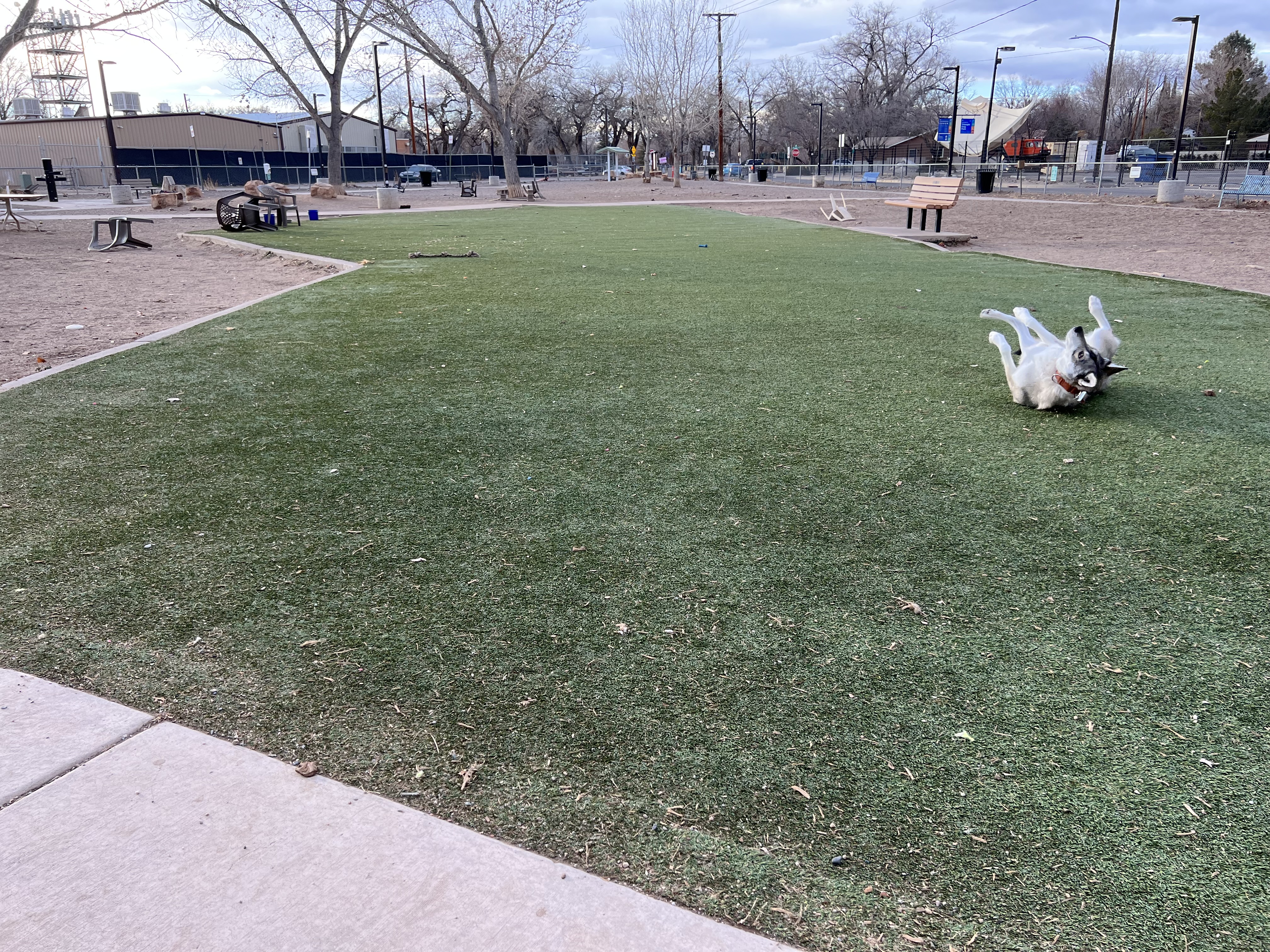 Rio Grande Triangle Park