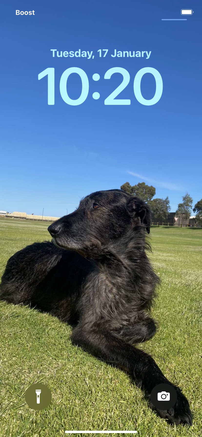 Harmony Fields Dog Park