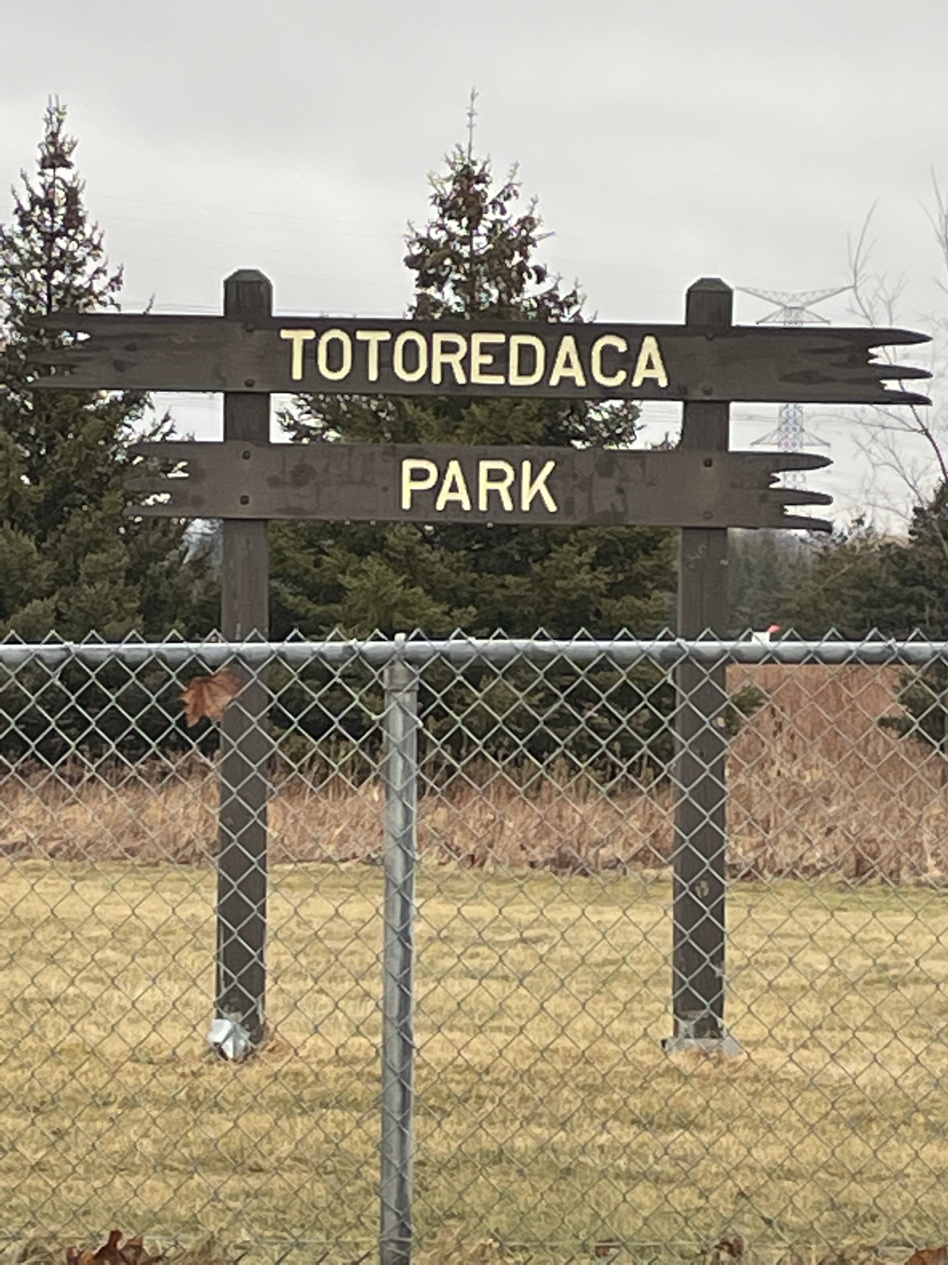 Totoredaca Leash-Free Dog Park