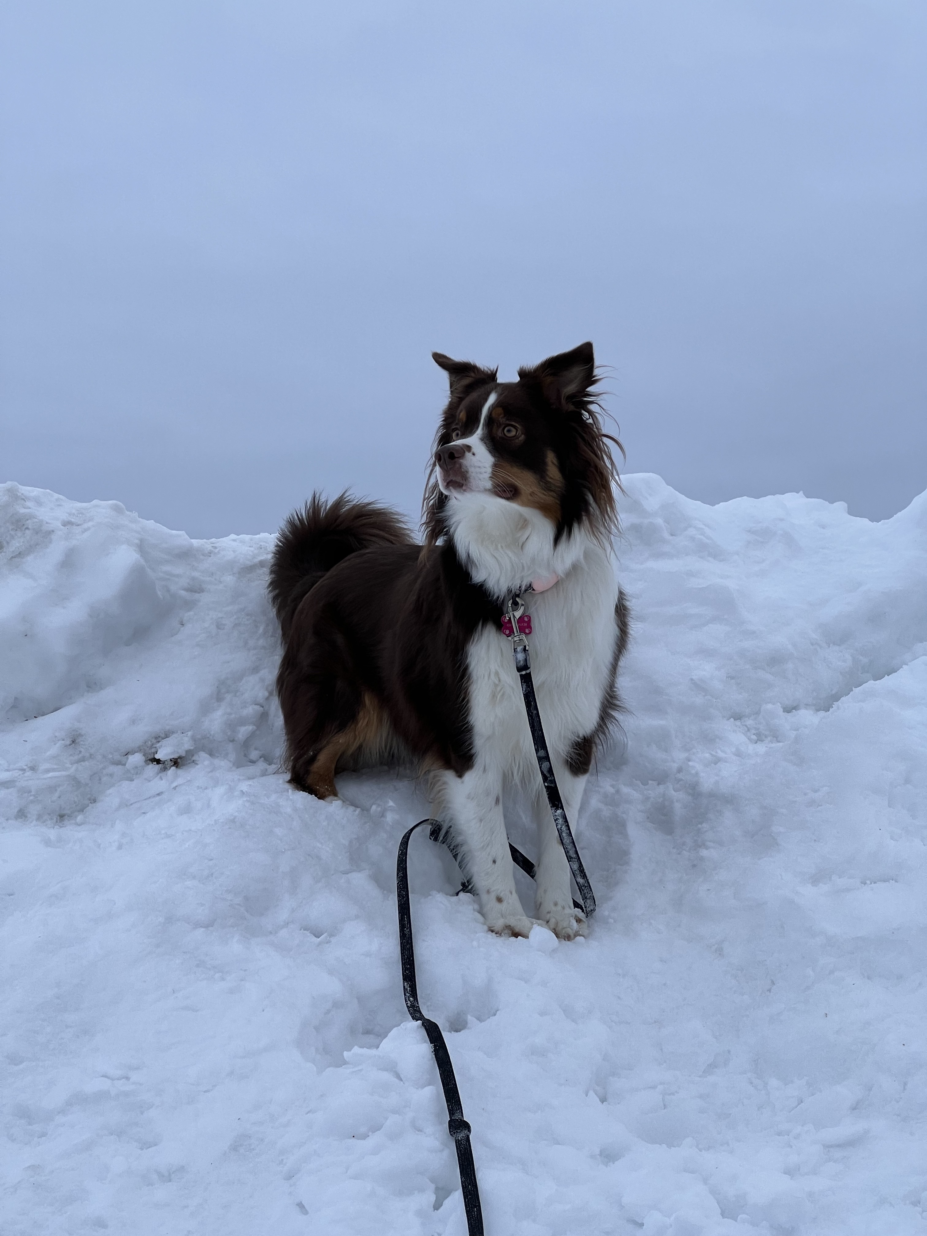 Parc récréotouristique de Saint-Lin-Laurentides