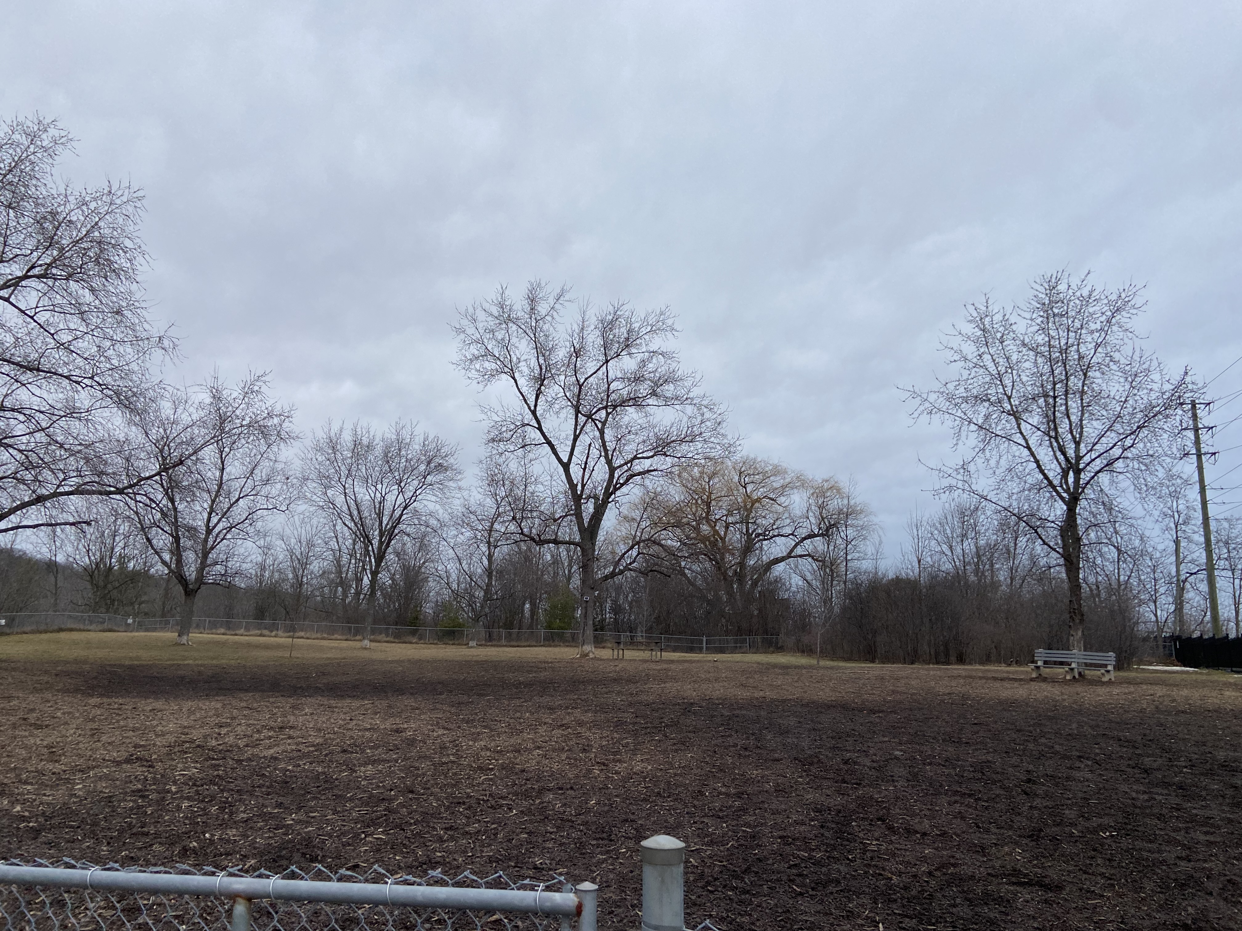 Borer's Falls Dog Park