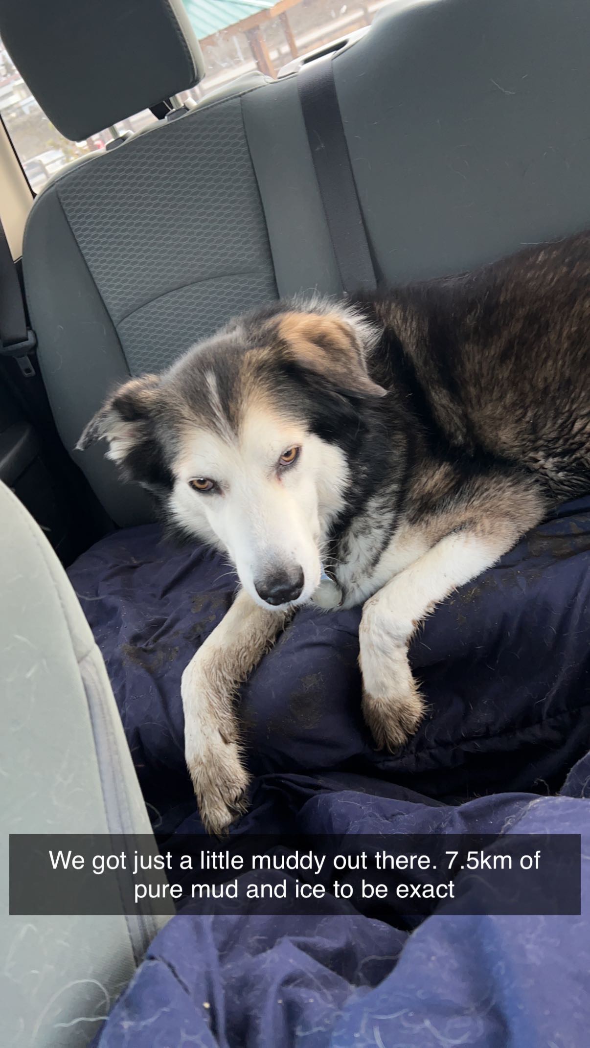 Kenna Cartwright Nature Park - Off-Leash Park