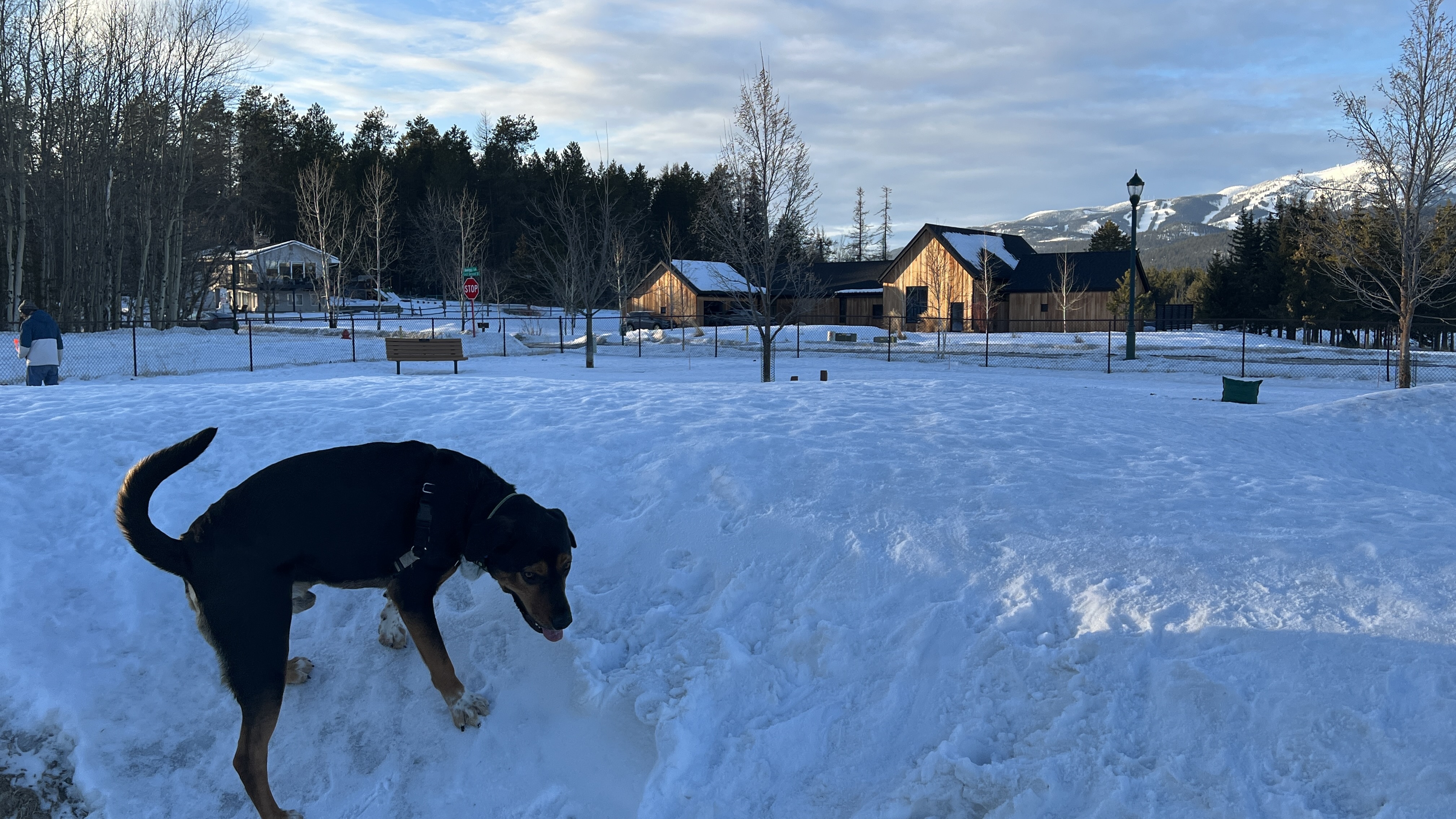 Hugh Rogers Wag Park