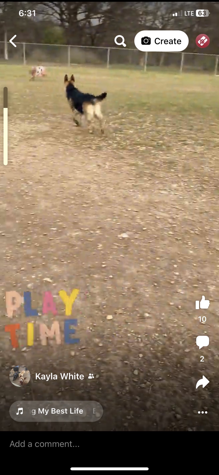 Lehmann Monroe Dog Park