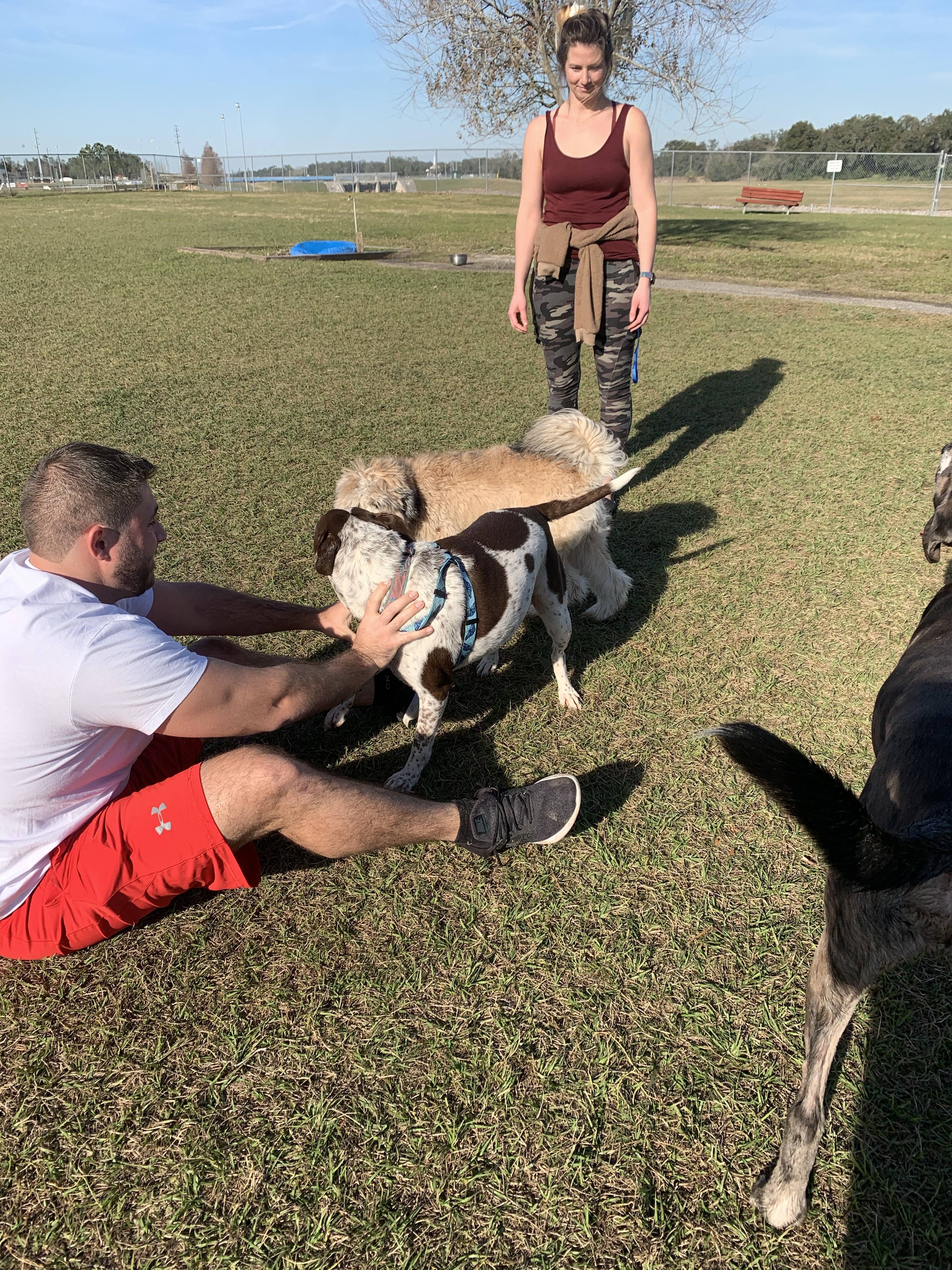 Temple Terrace Hilltop Dog Park