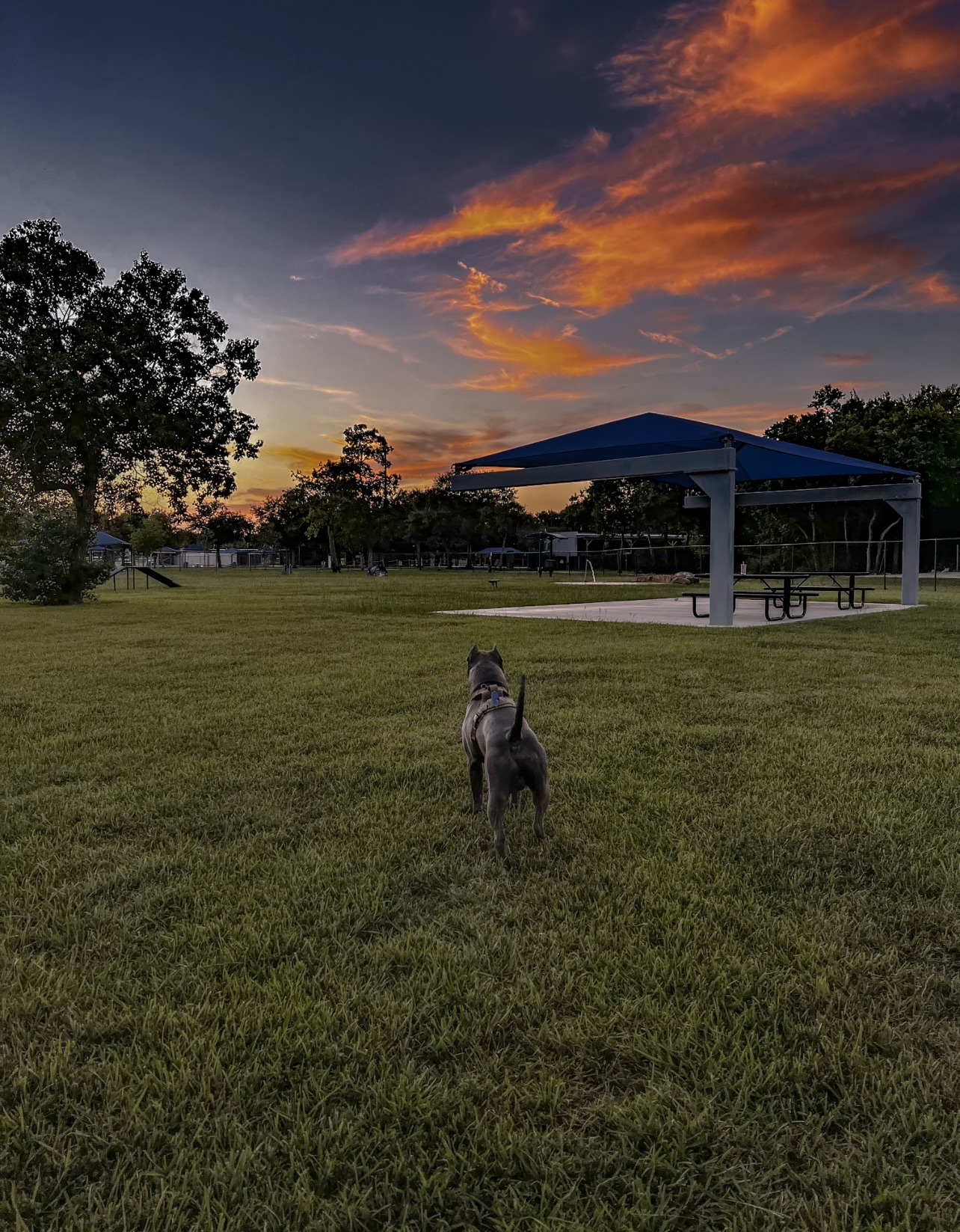 La Porte Dog Park
