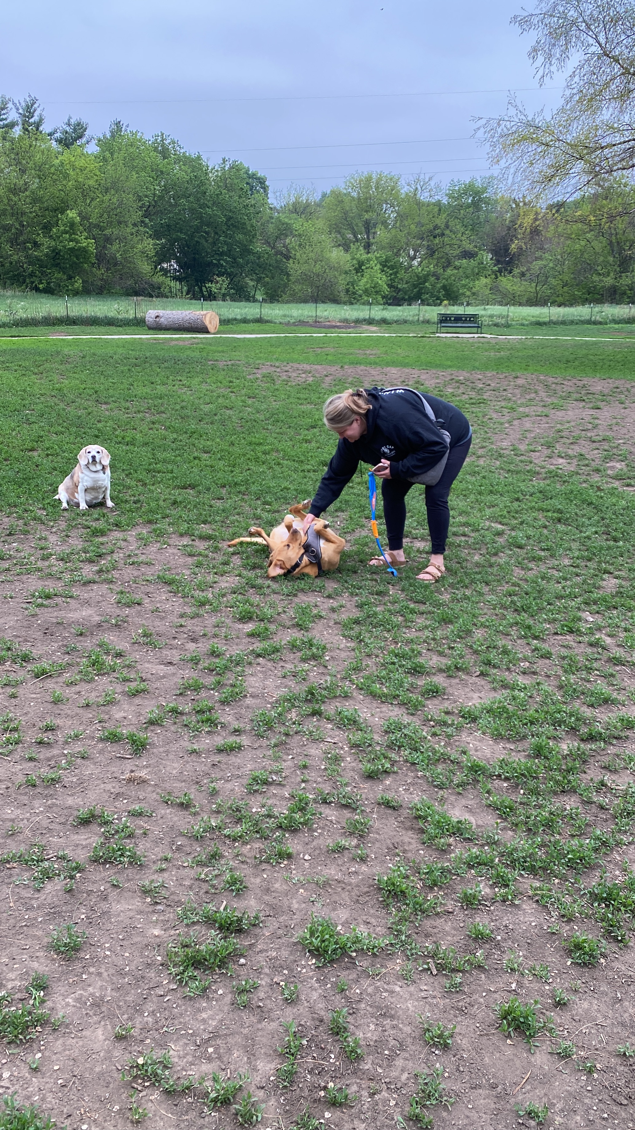Stransky Dog Run at Peterson Park