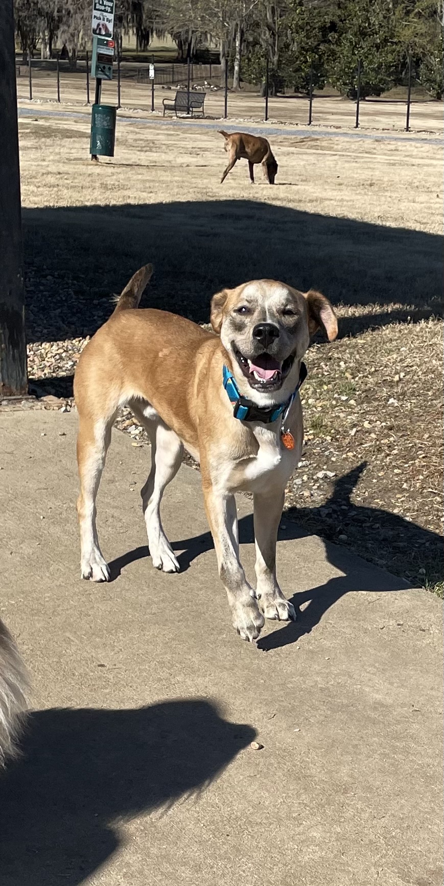 Hannah Daye Ridling Bark Park