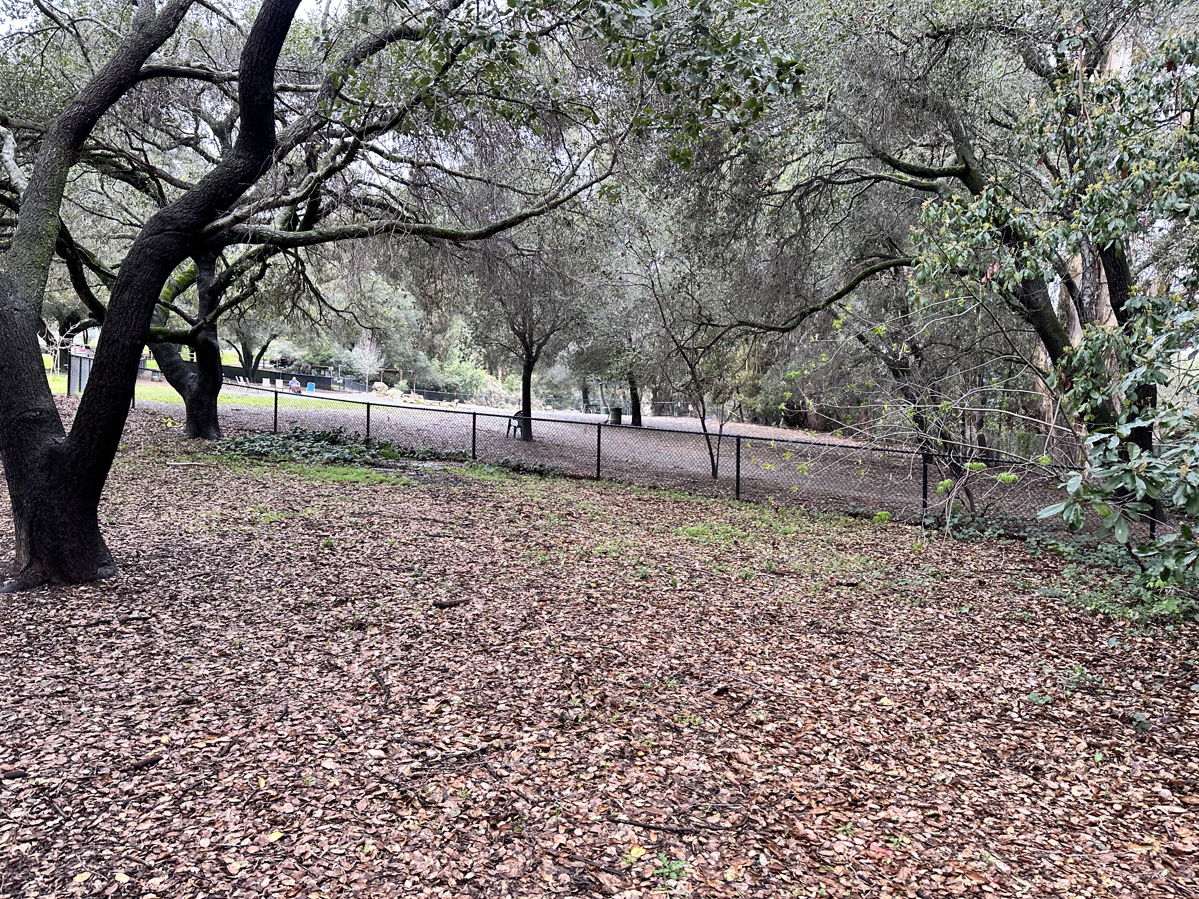 Earl Warren Dog Park