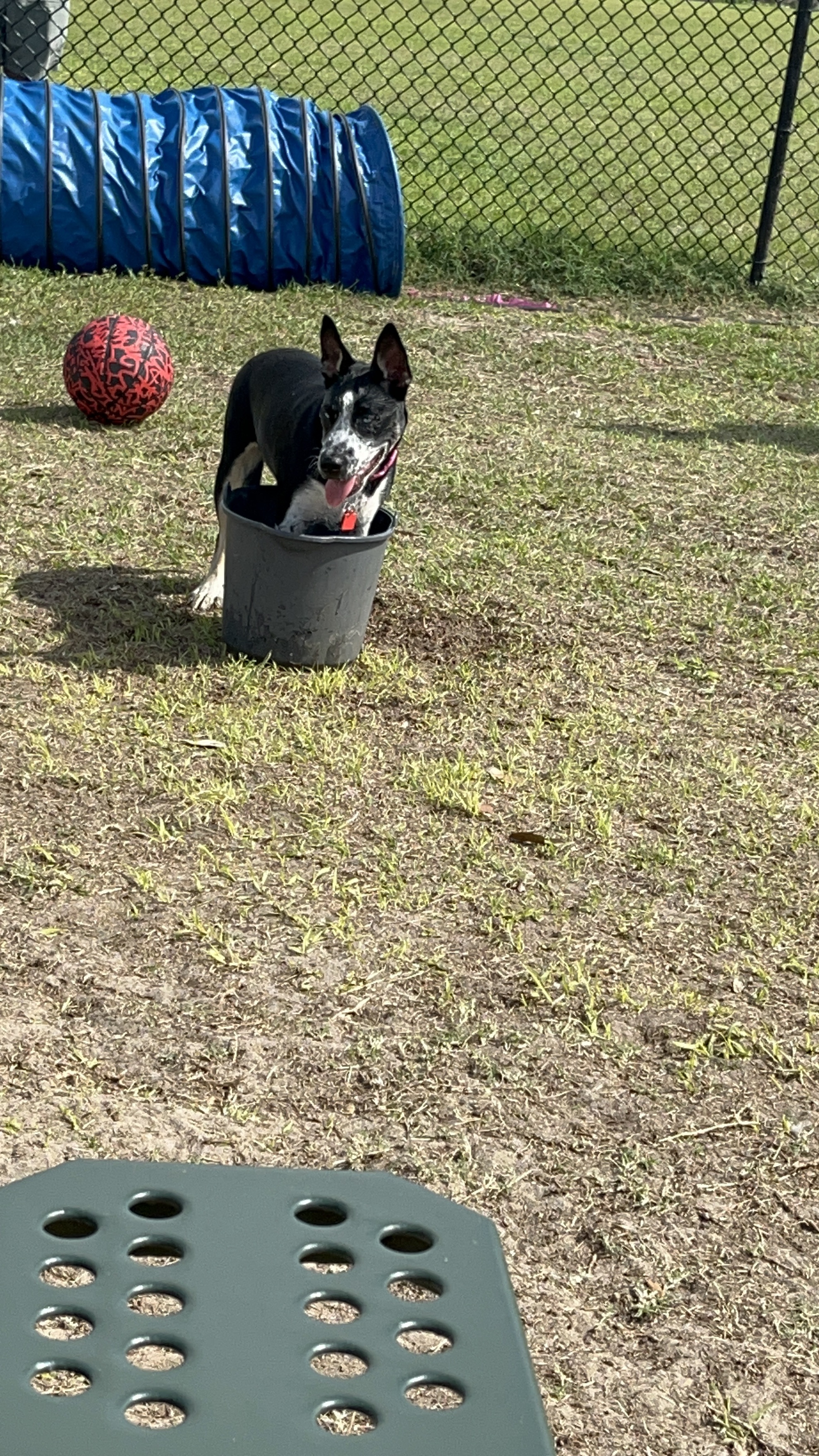 Northeast Regional Park