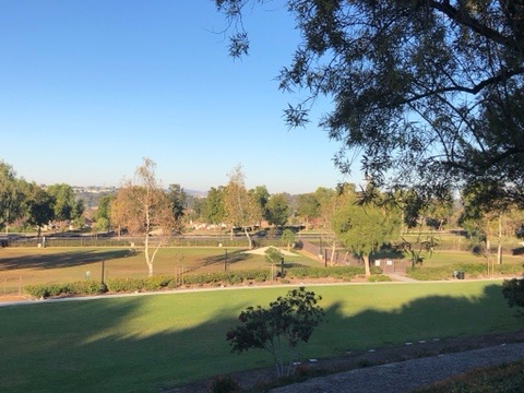 Wagsdale Dog Park (Private-access)