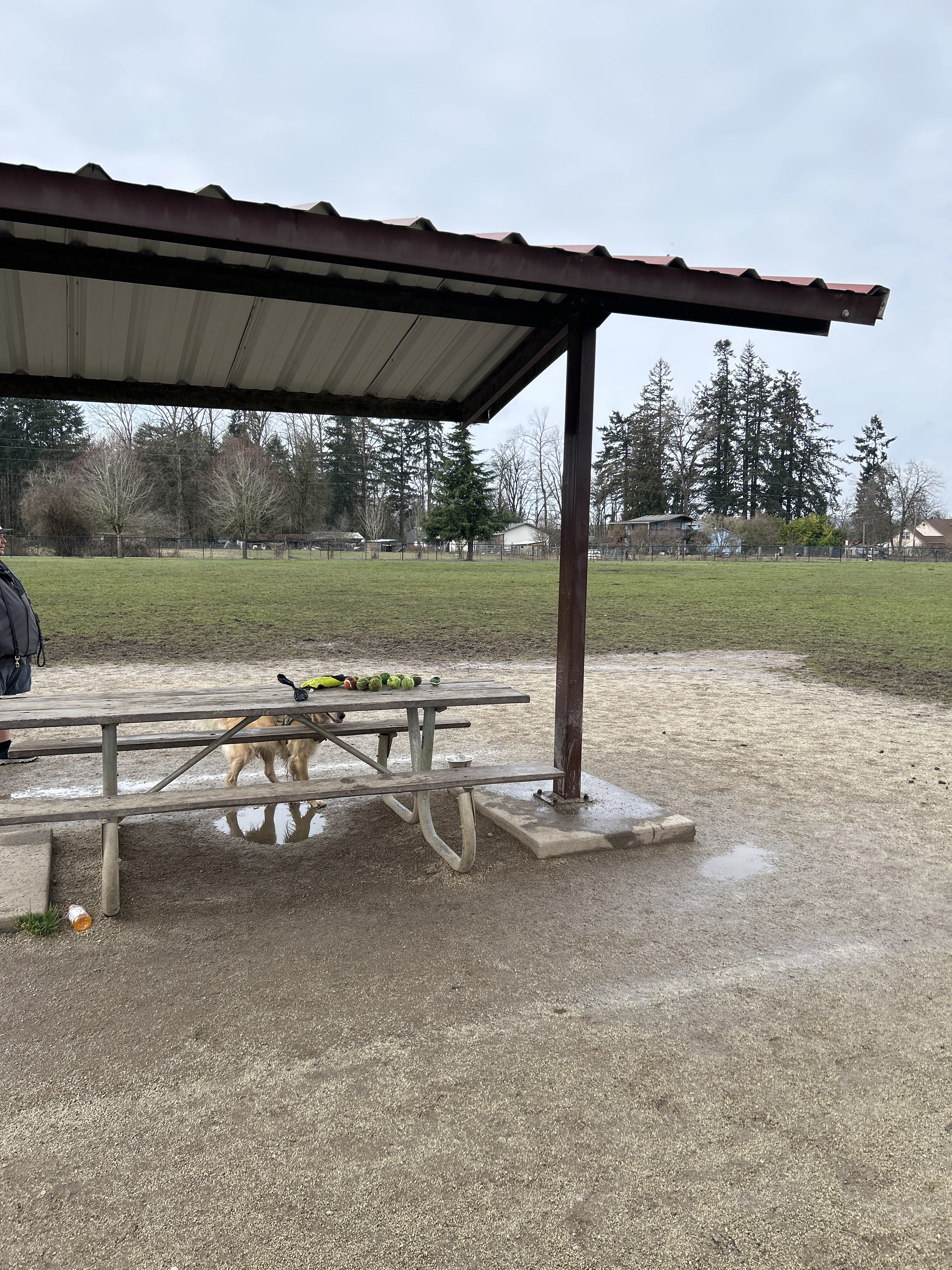 Keizer Rapids Dog Park