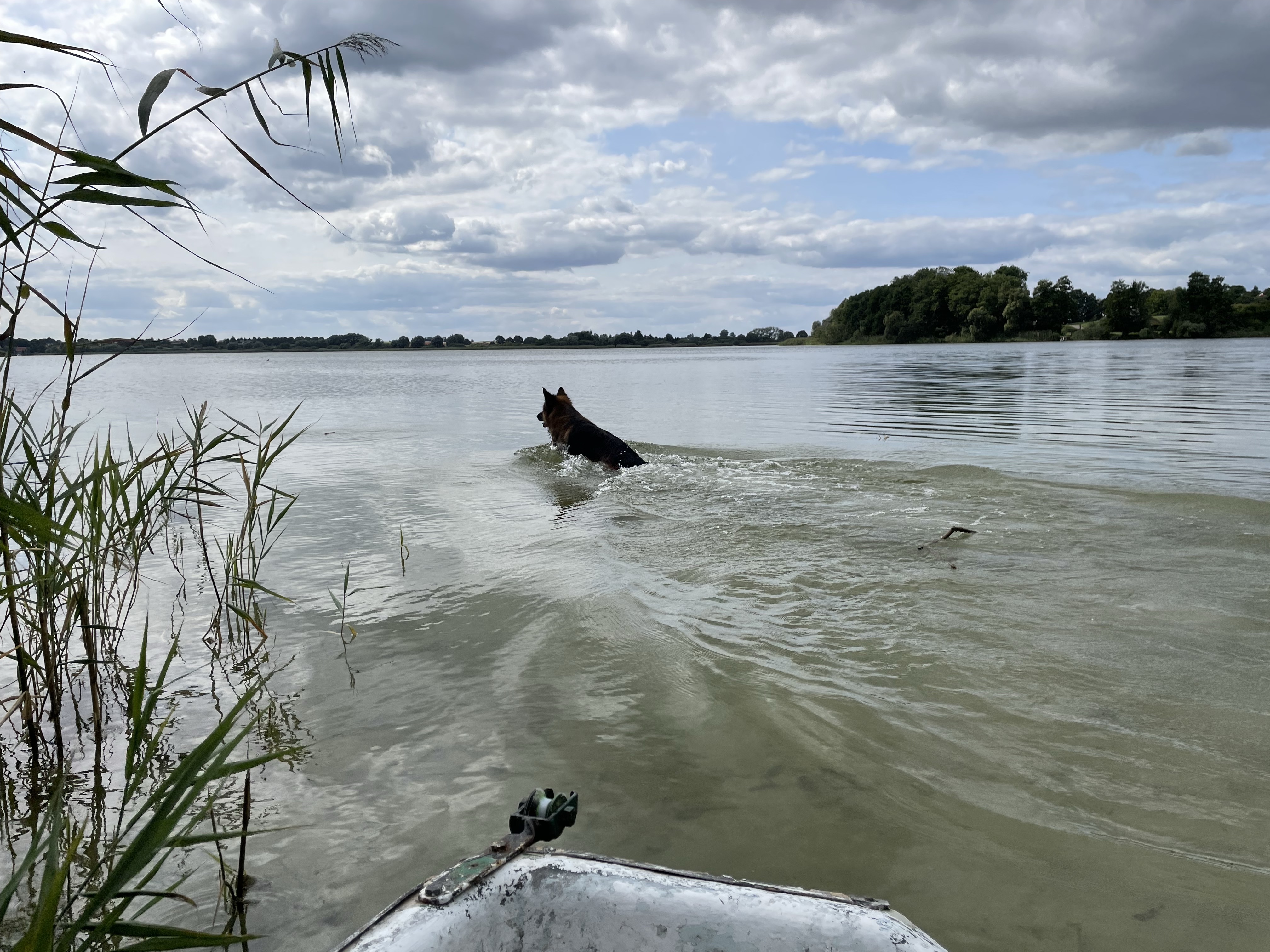 Park na Lednicky/ Dziekanowice off leash