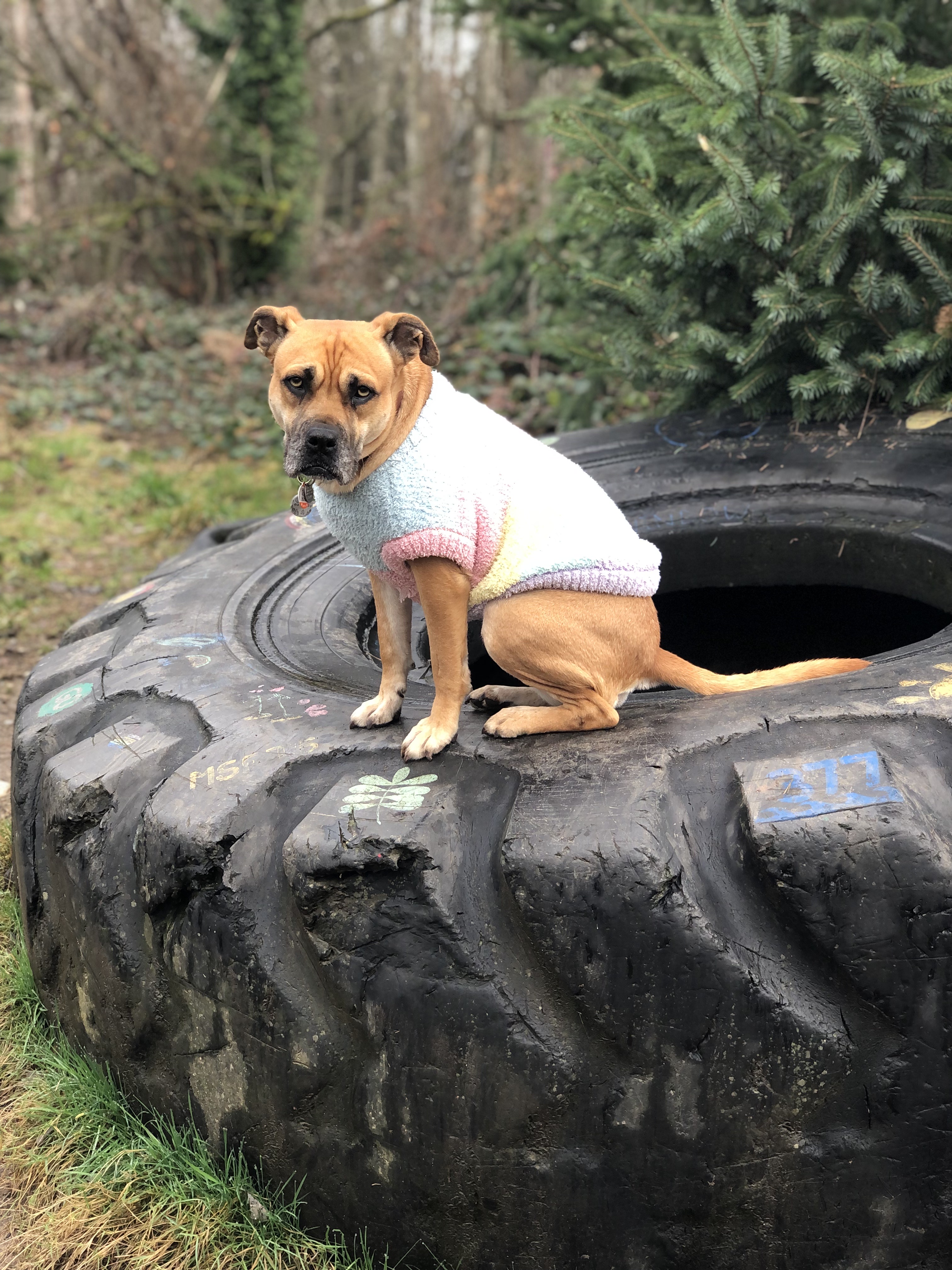 Everett Crowley Park