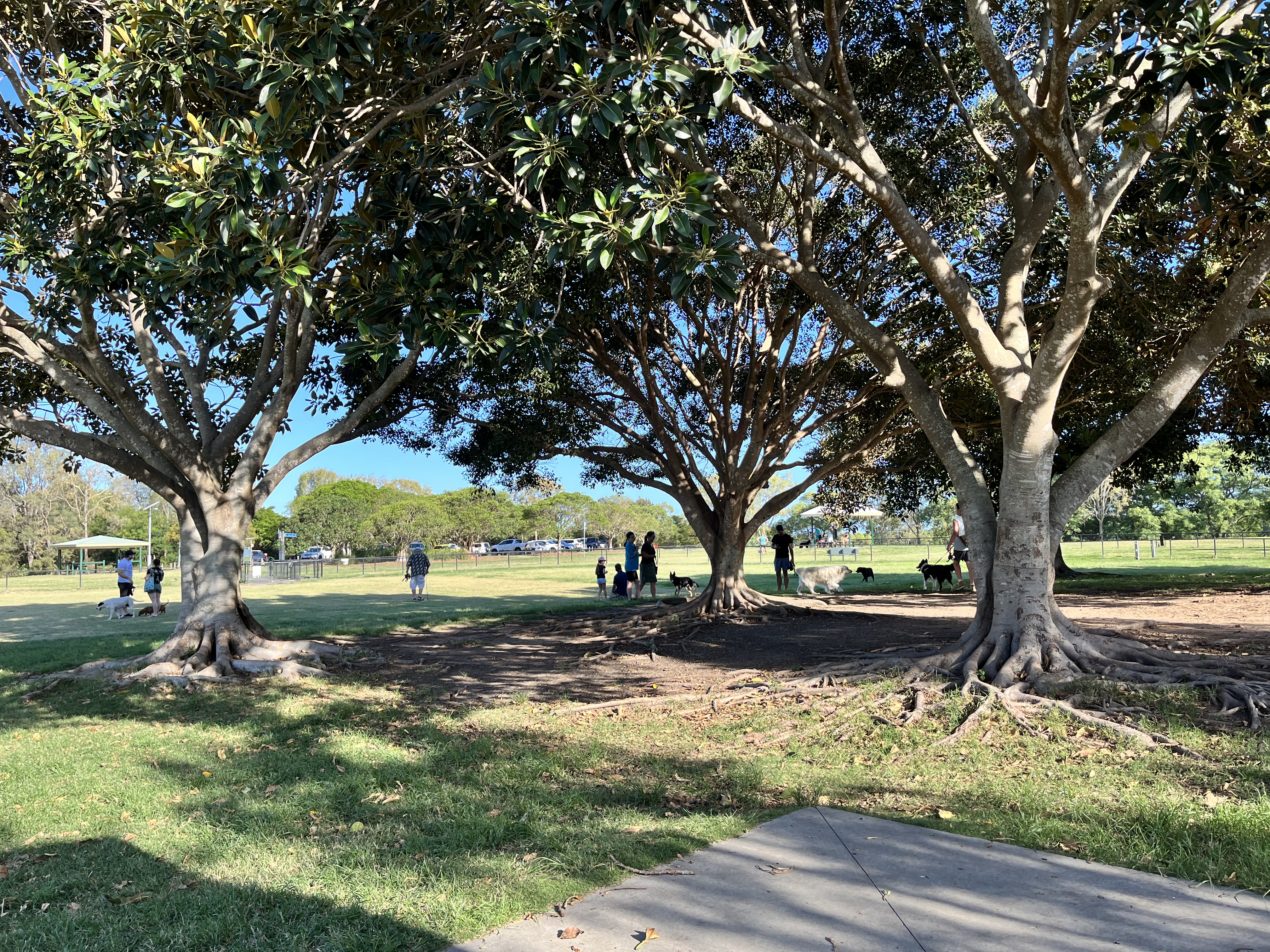 Elanora Park Off-Leash Area