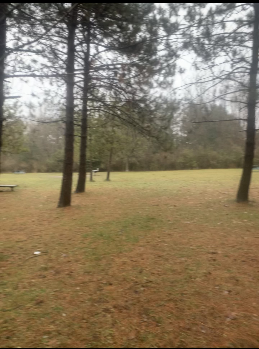 Scanlon Creek Conservation Area