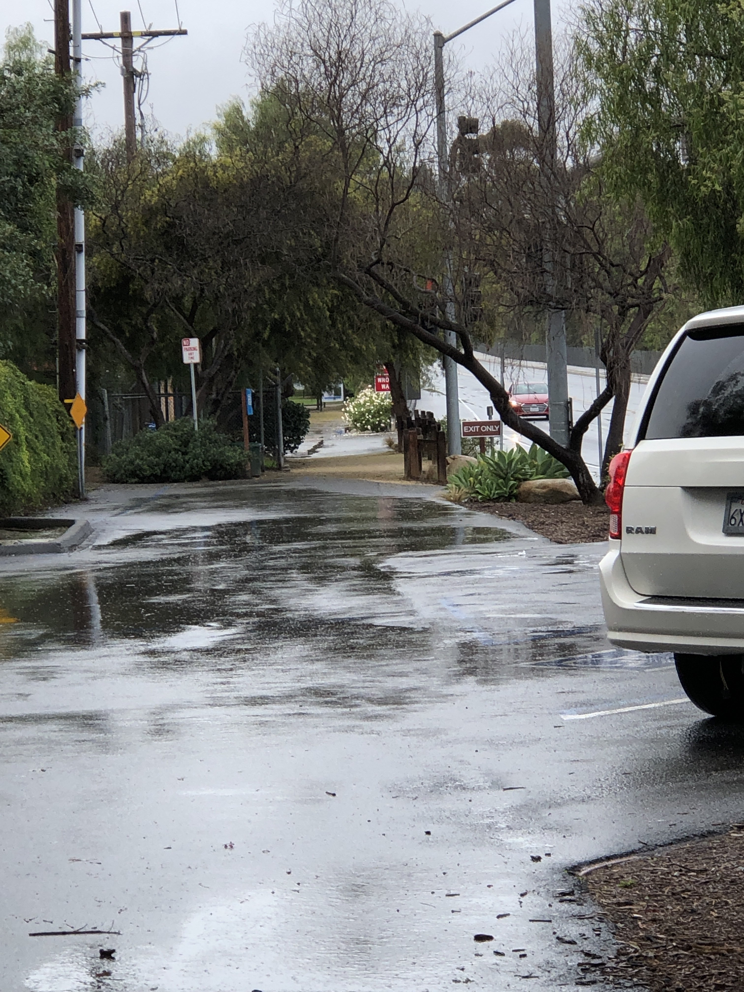 Laguna Woods Dog Park