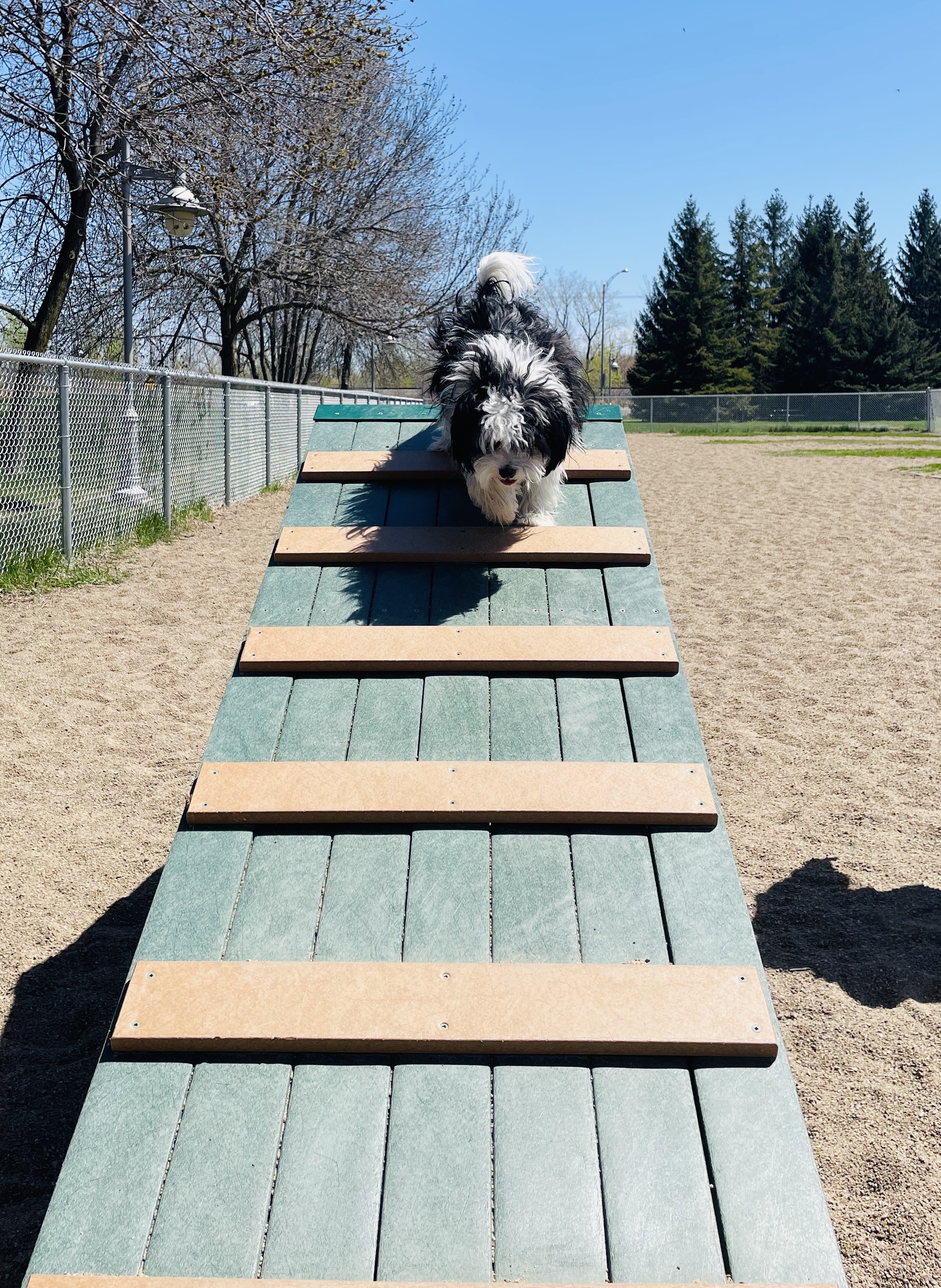 Bâtisseurs Park Dog Run